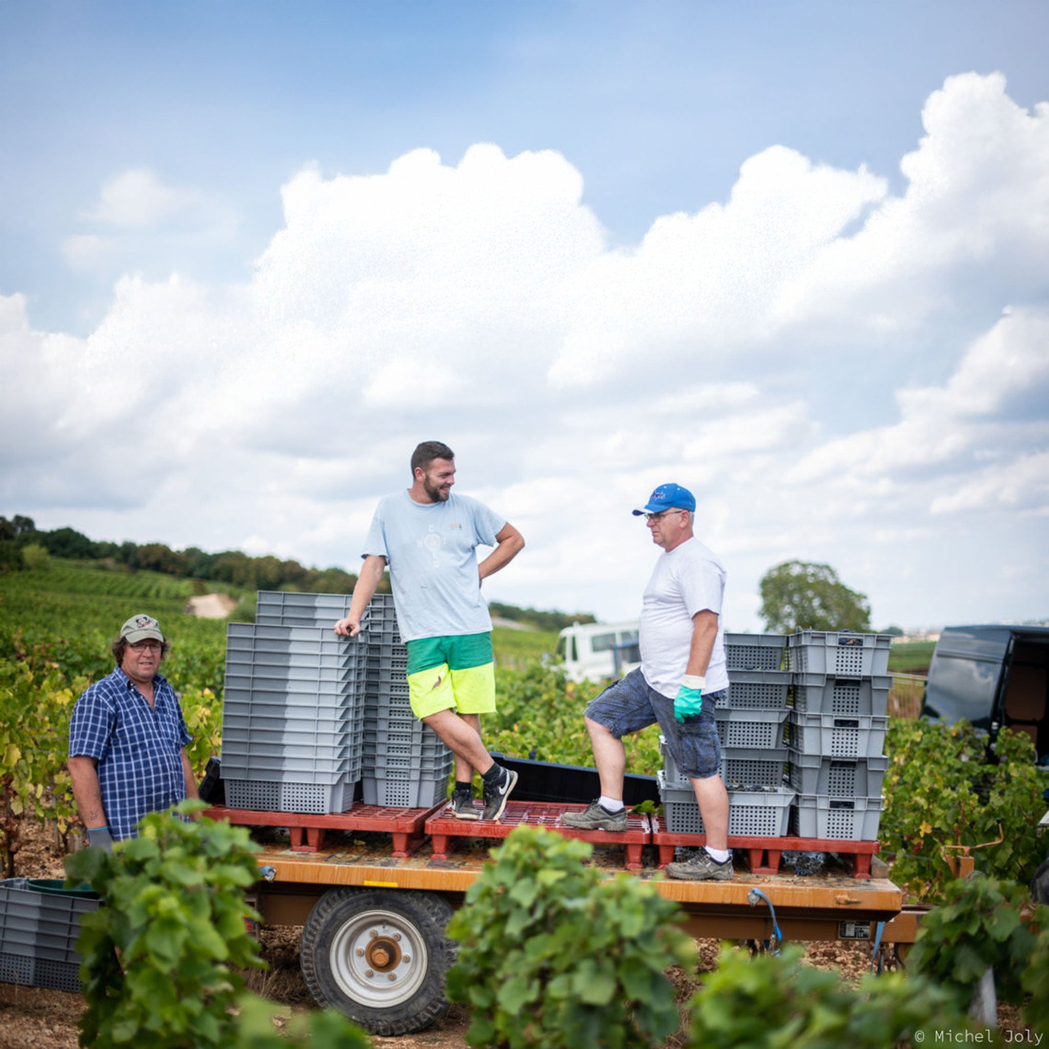 Domaine Lignier-Michelot