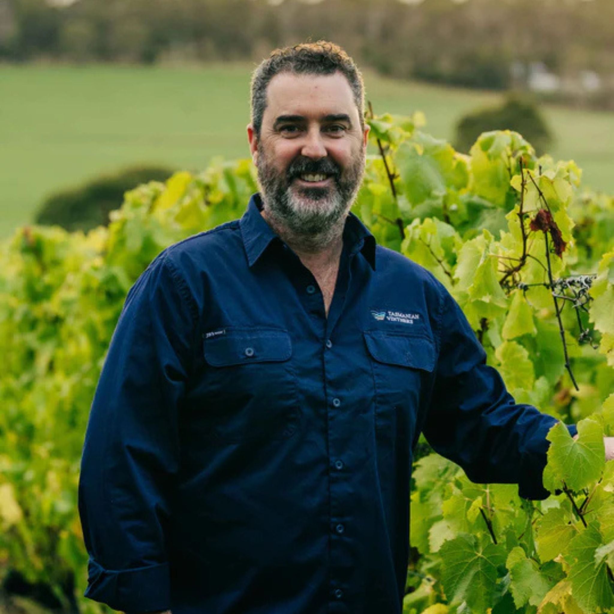 Lowestoft Estate Pinot Noir 2022