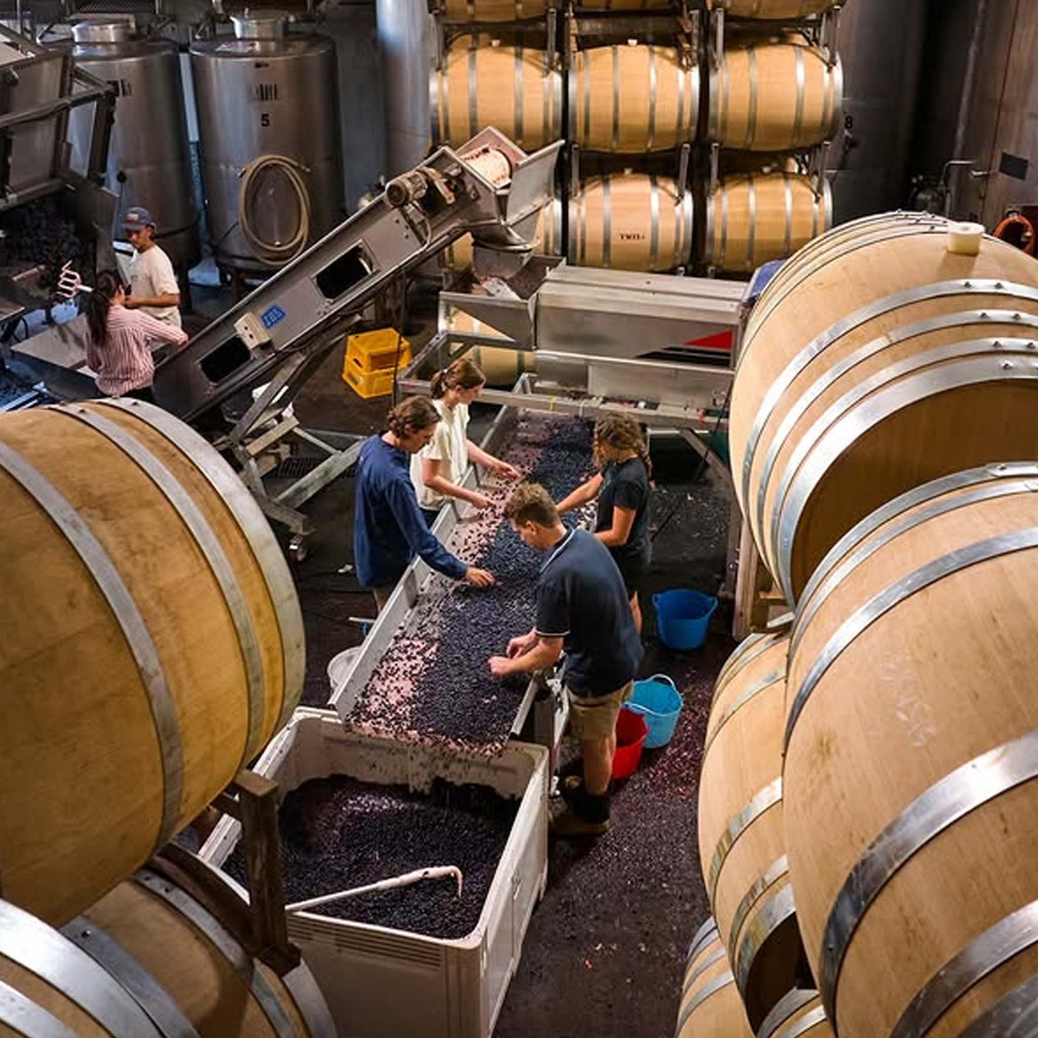 Moss Wood Pinot Noir 2023