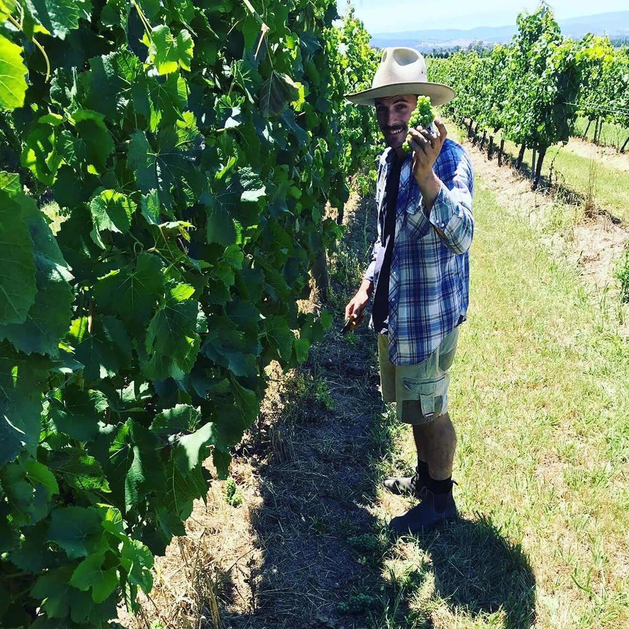 Mount Mary Reflexion Chardonnay 2024