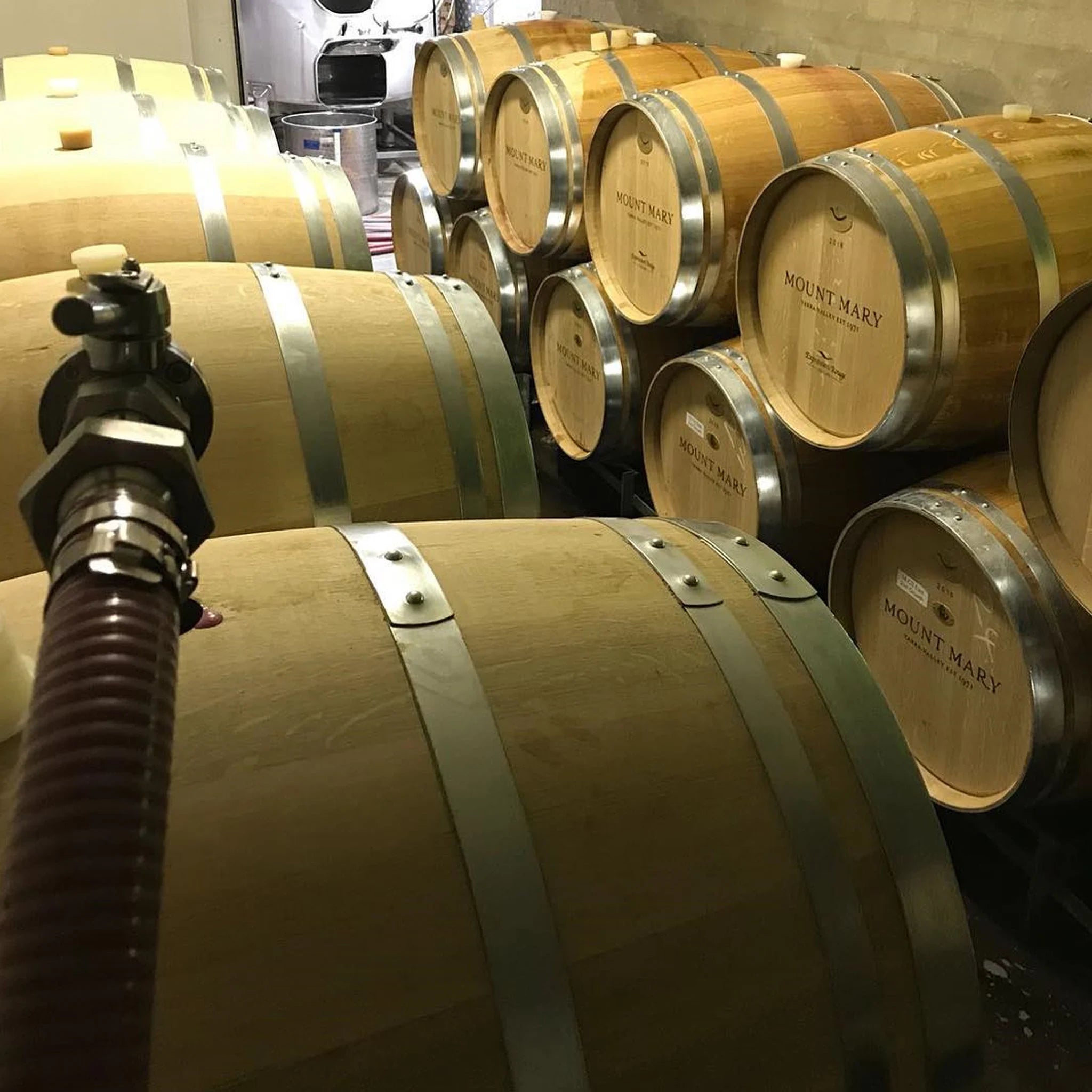 Philosophy | Mount Mary Wines 
