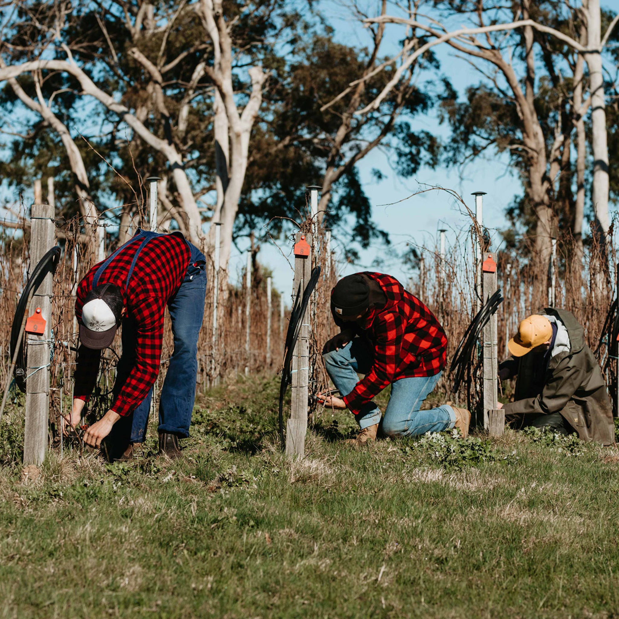 Place of Changing Winds Mari Magno Pinot Noir 2022