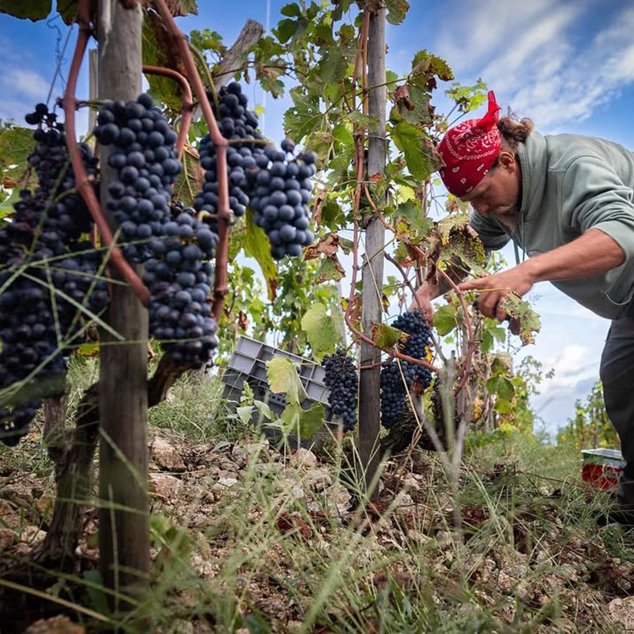 Domaine Paul Jaboulet Cotes du Rhône Rouge Parallele 45 2022