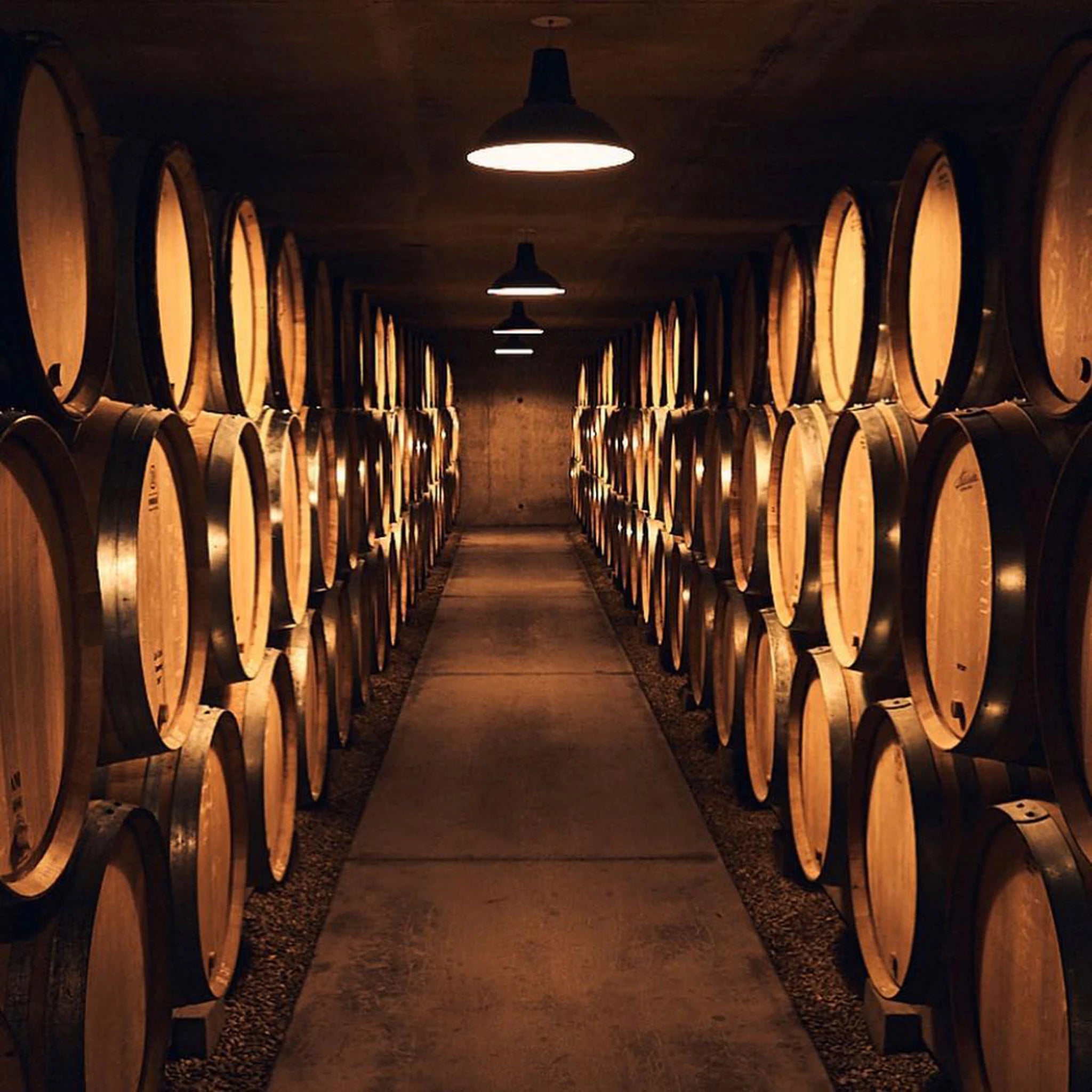 Pierre-Yves Colin-Morey Chassagne Montrachet 1er Cru Maltroie 2022