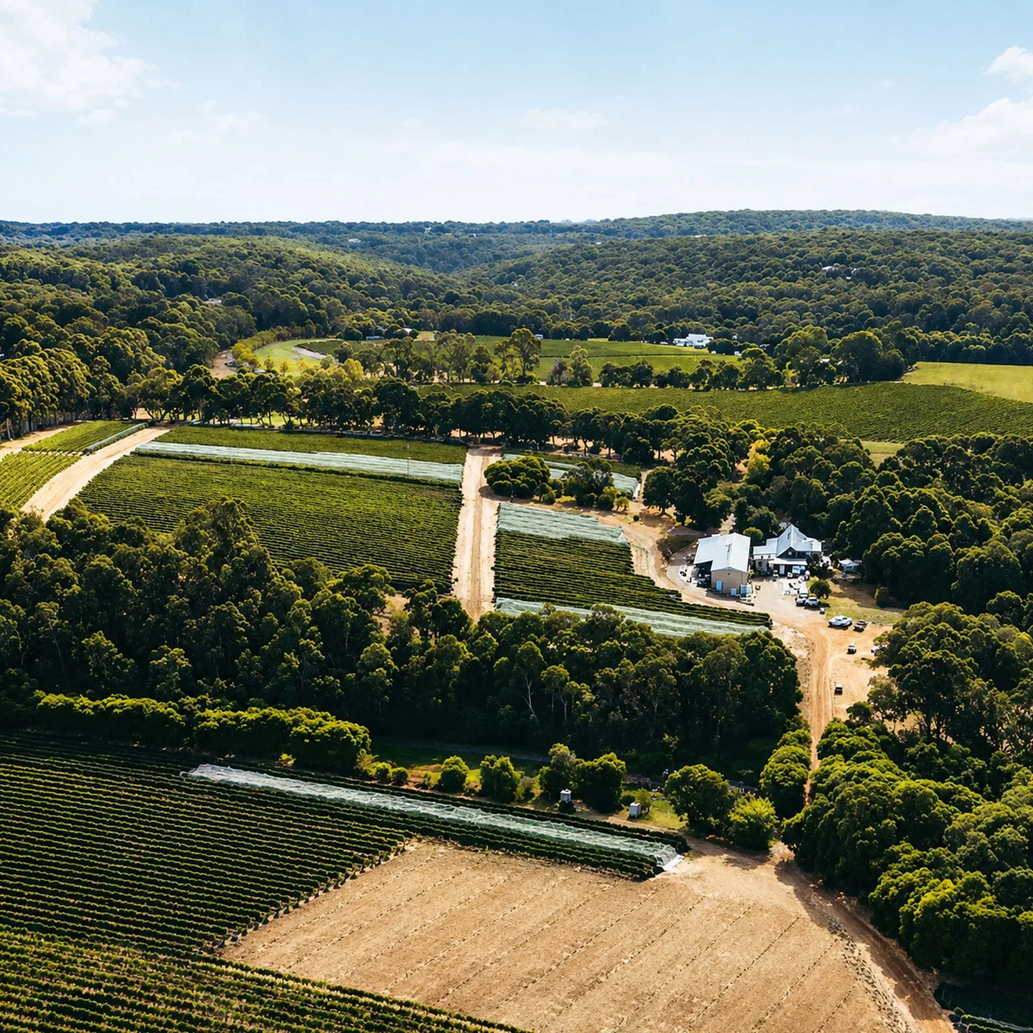 Pierro VR Cabernet Sauvignon 2021