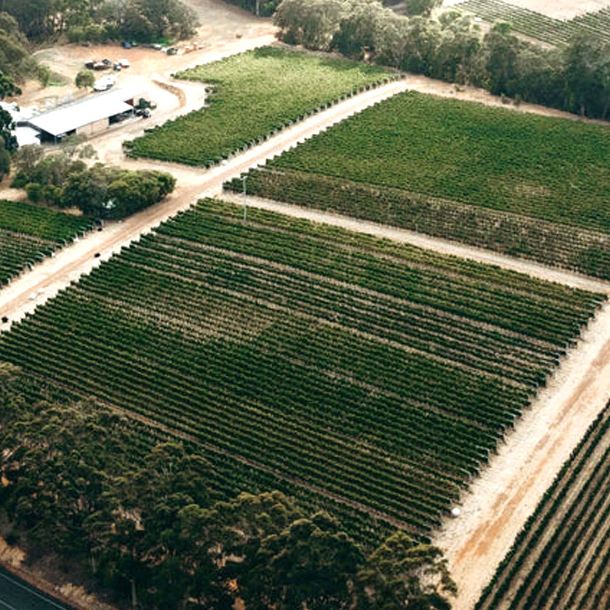 Pierro VR Cabernet Sauvignon 2021