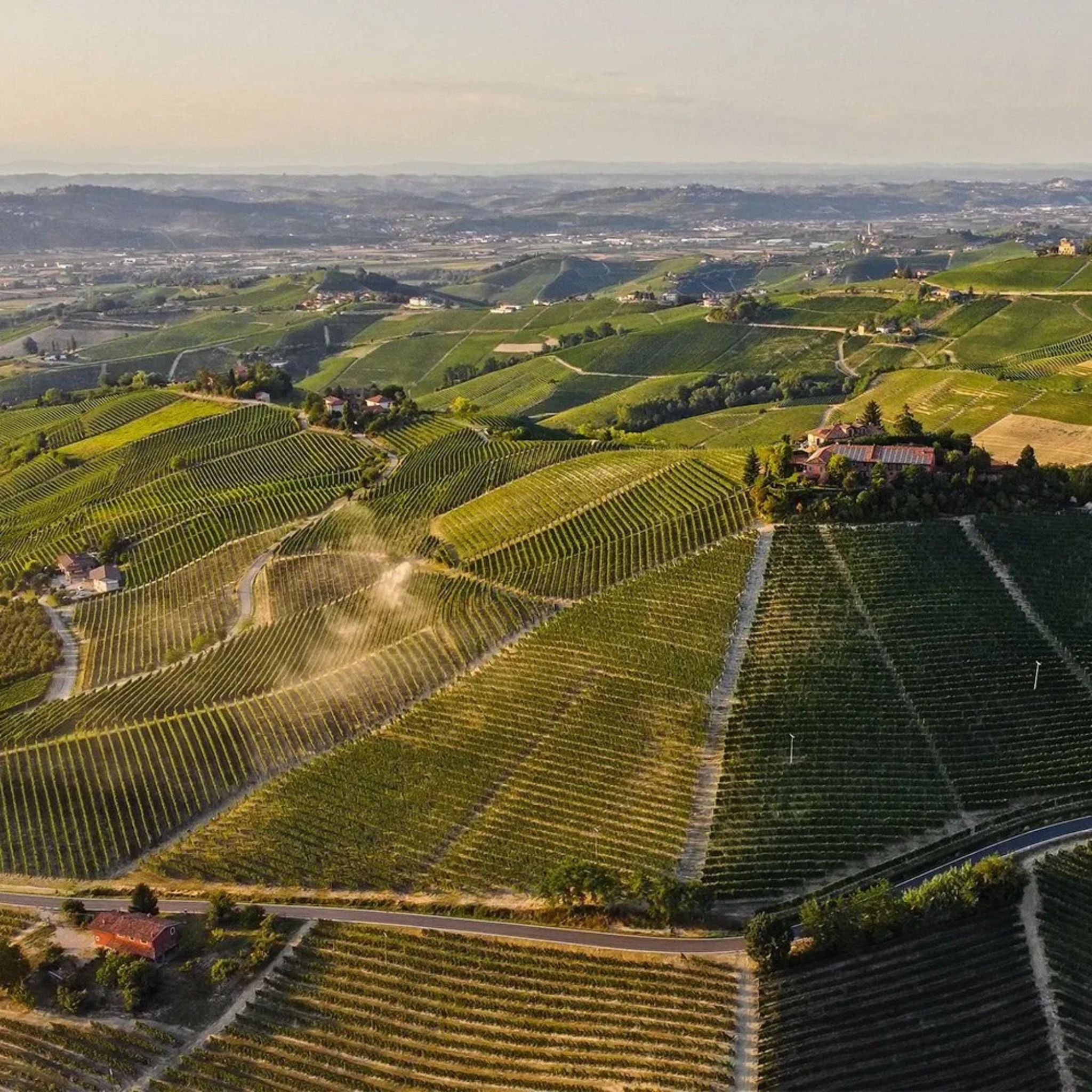 Pio Cesare Barbaresco Il Bricco di Treiso 2021