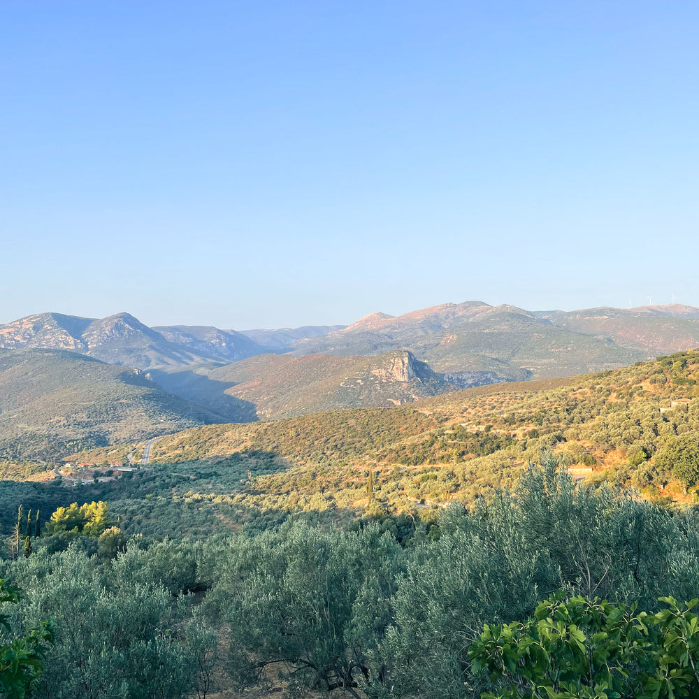 Platana Greece - Kent Street Cellars