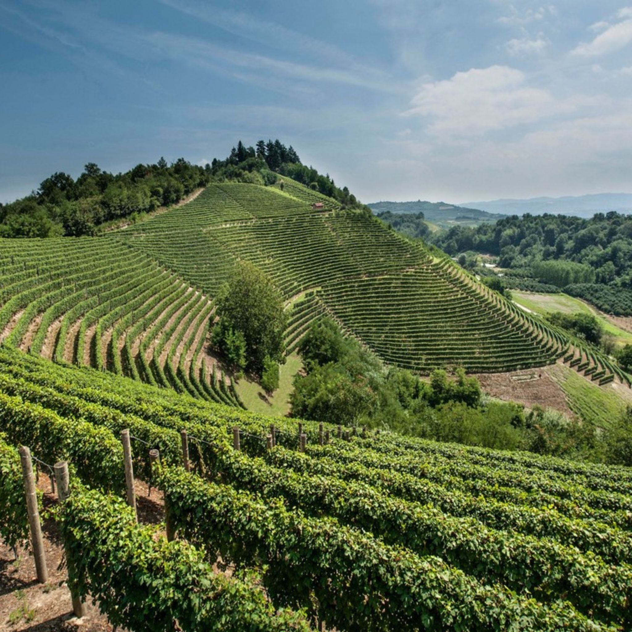 Pol Roger Rich Demi-Sec NV