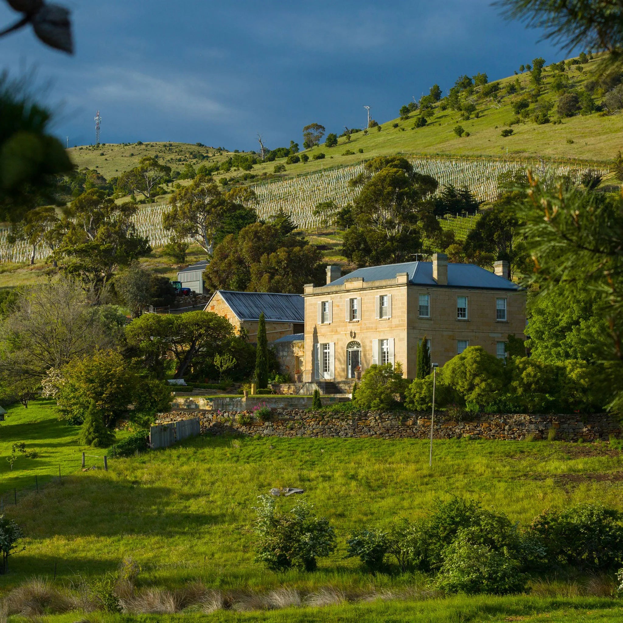 Pooley Butcher’s Hill Oronsay Pinot Noir 2024