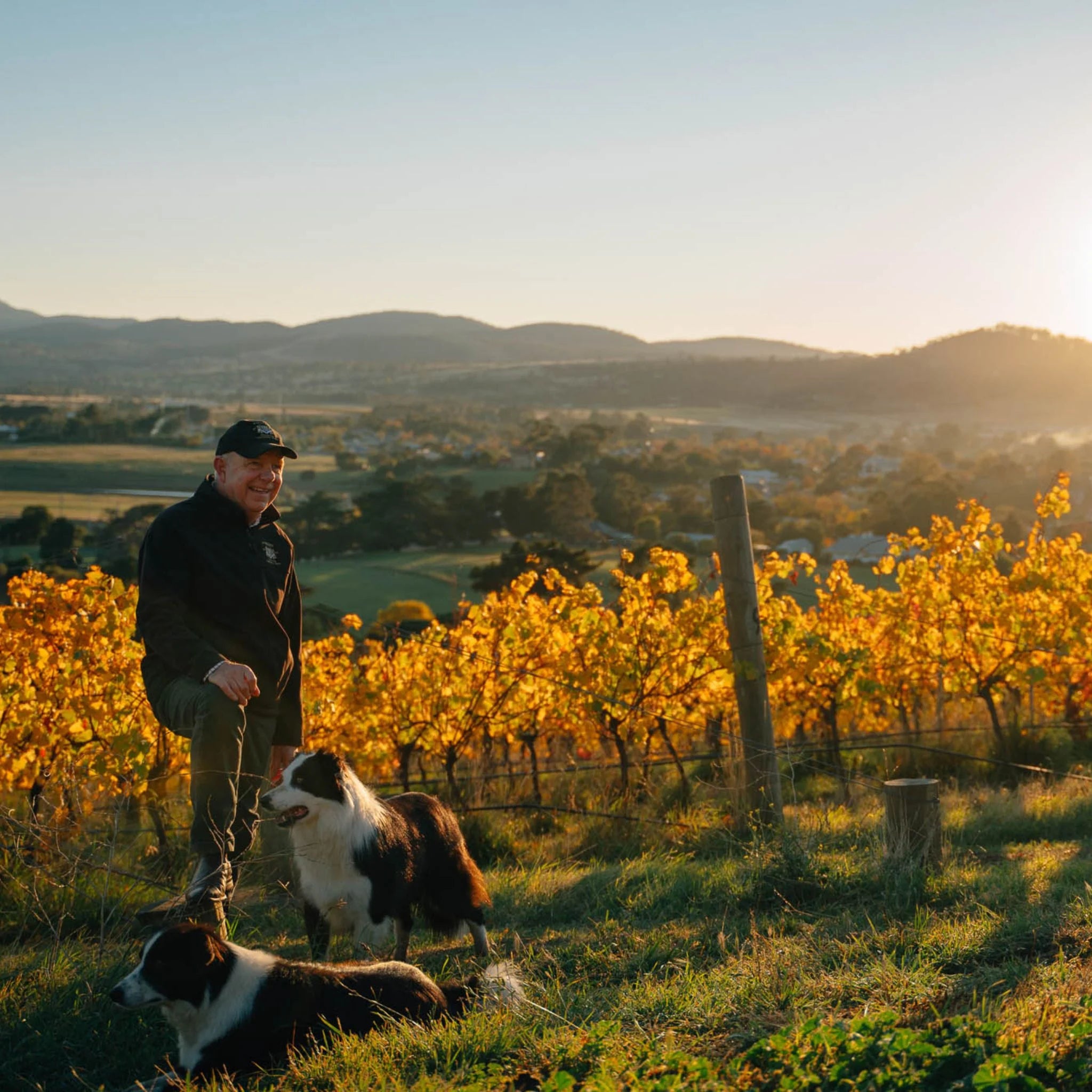 Pooley Butcher’s Hill Oronsay Pinot Noir 2024