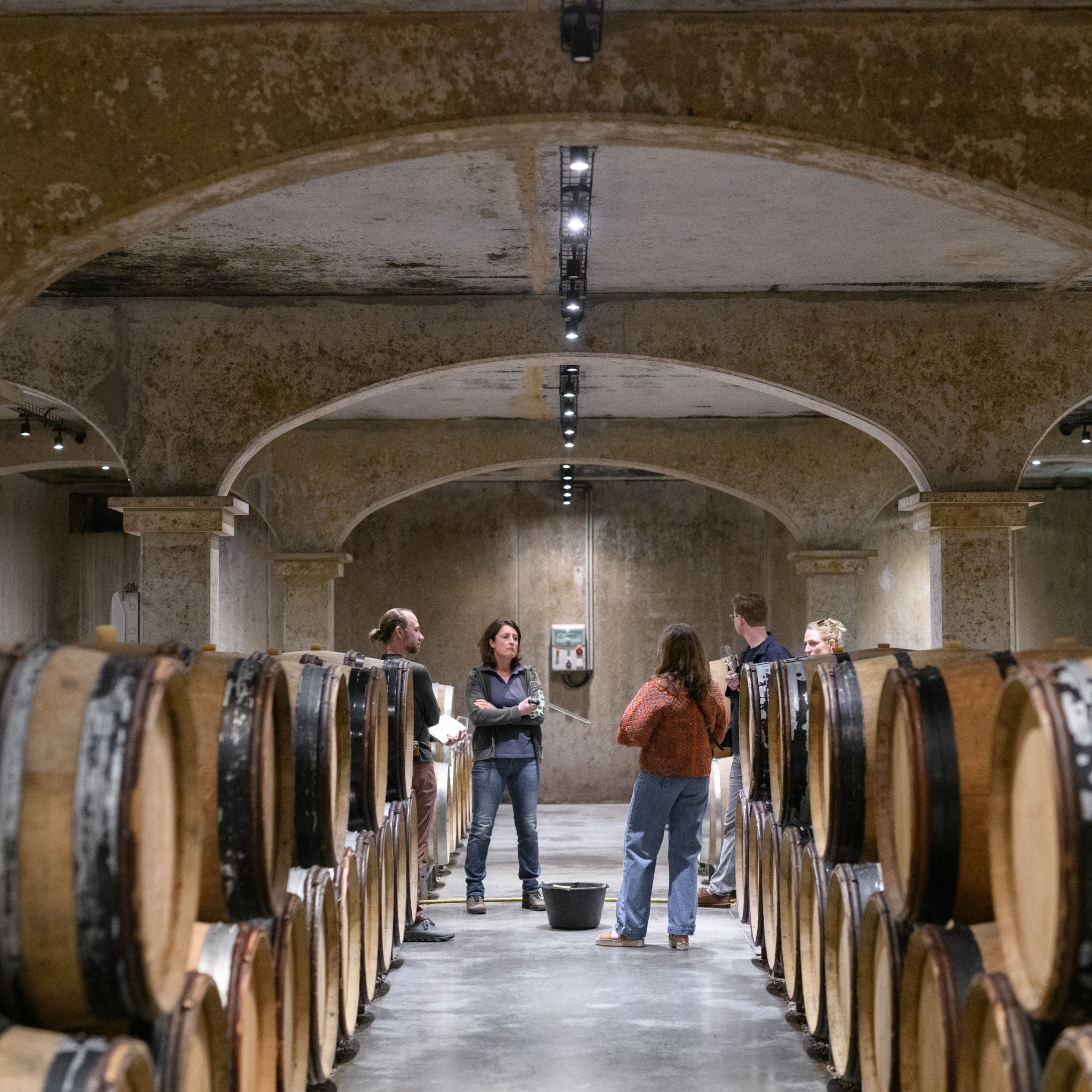 The Philosophy | Domaine François Raveneau