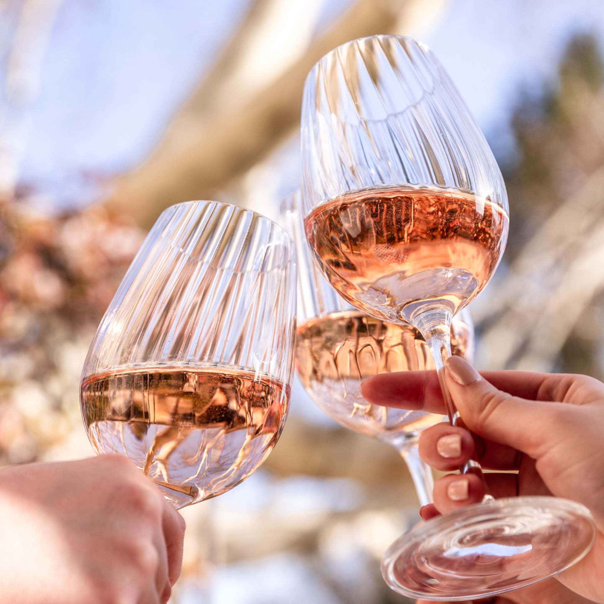 Roseblood d'Estoublon Rose 2024
