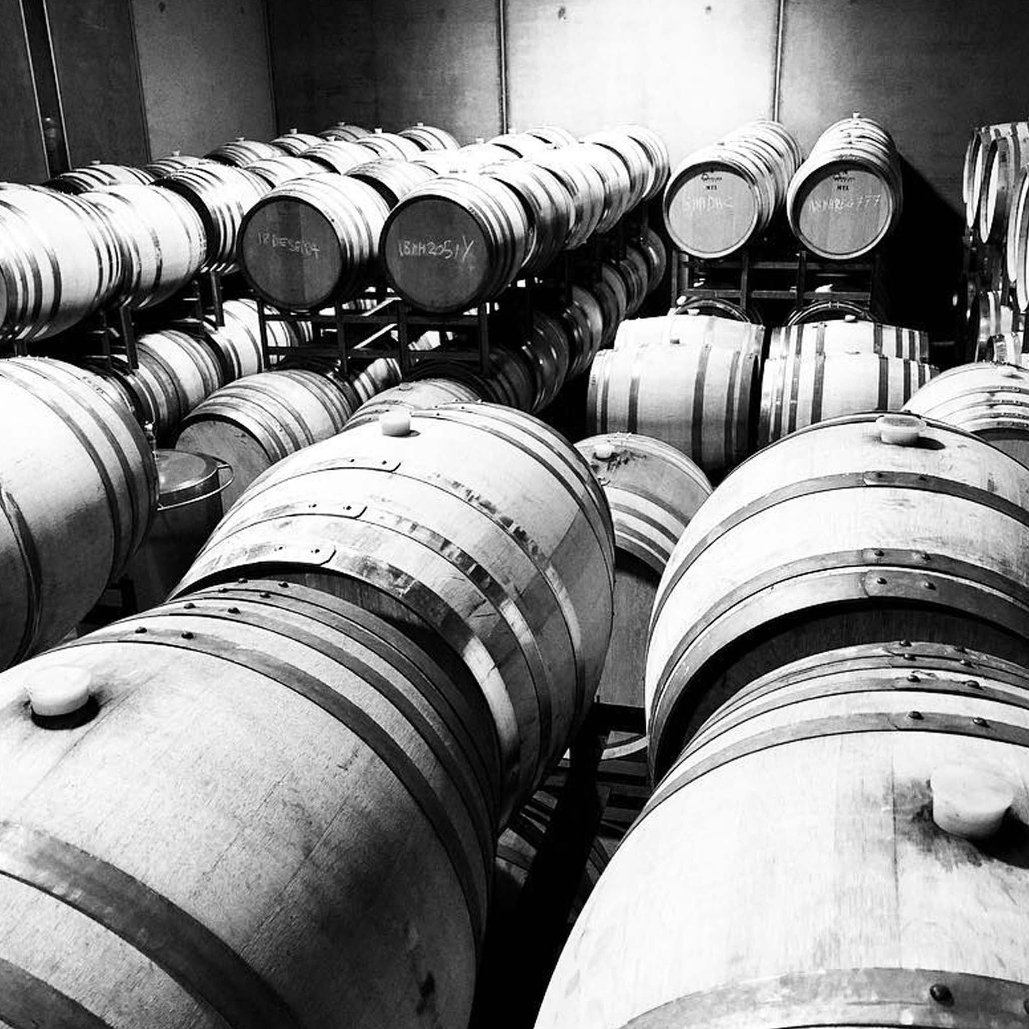 Sailor Seeks Horse Huldufolk Chardonnay 2024