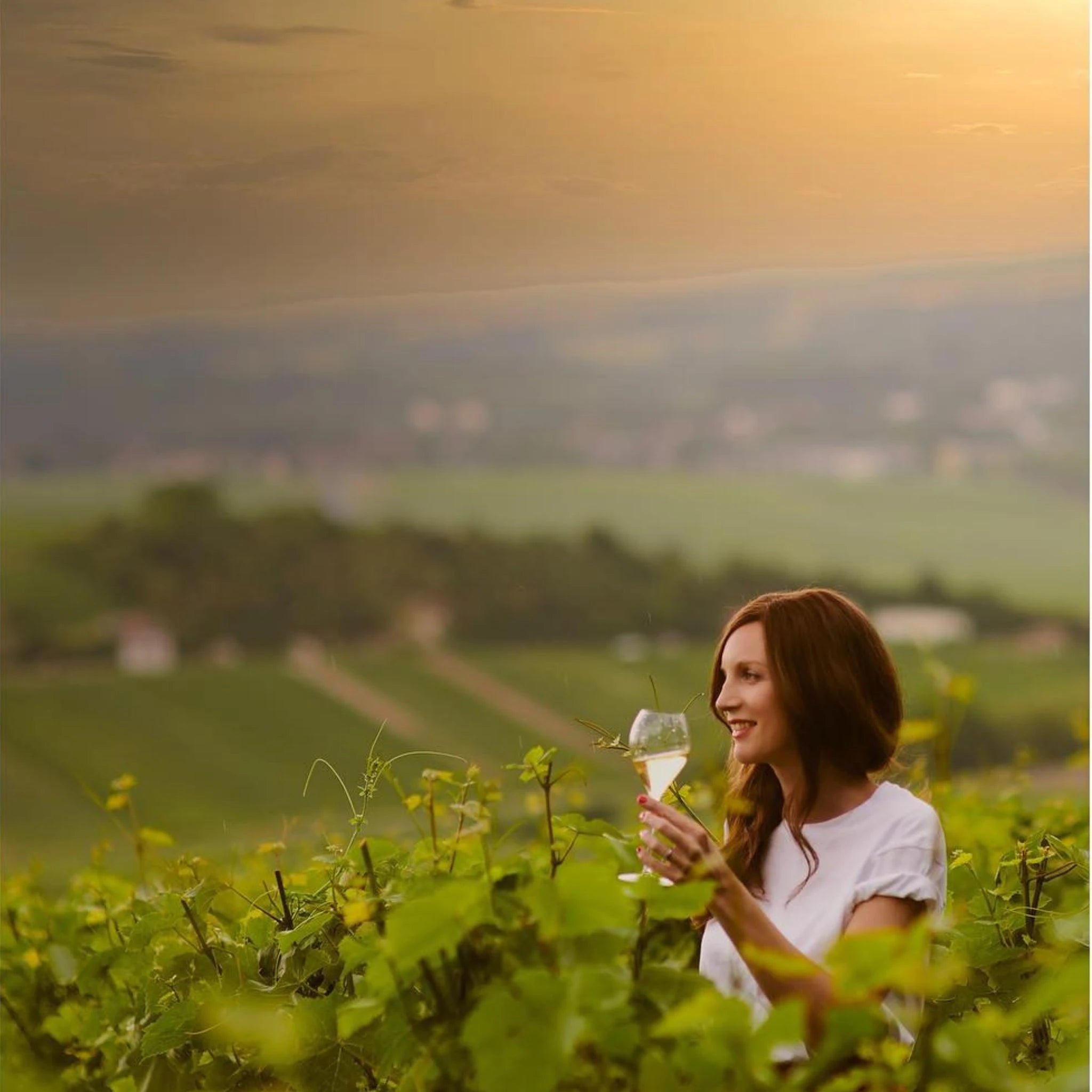 Taittinger Les Folies de la Marquetterie NV