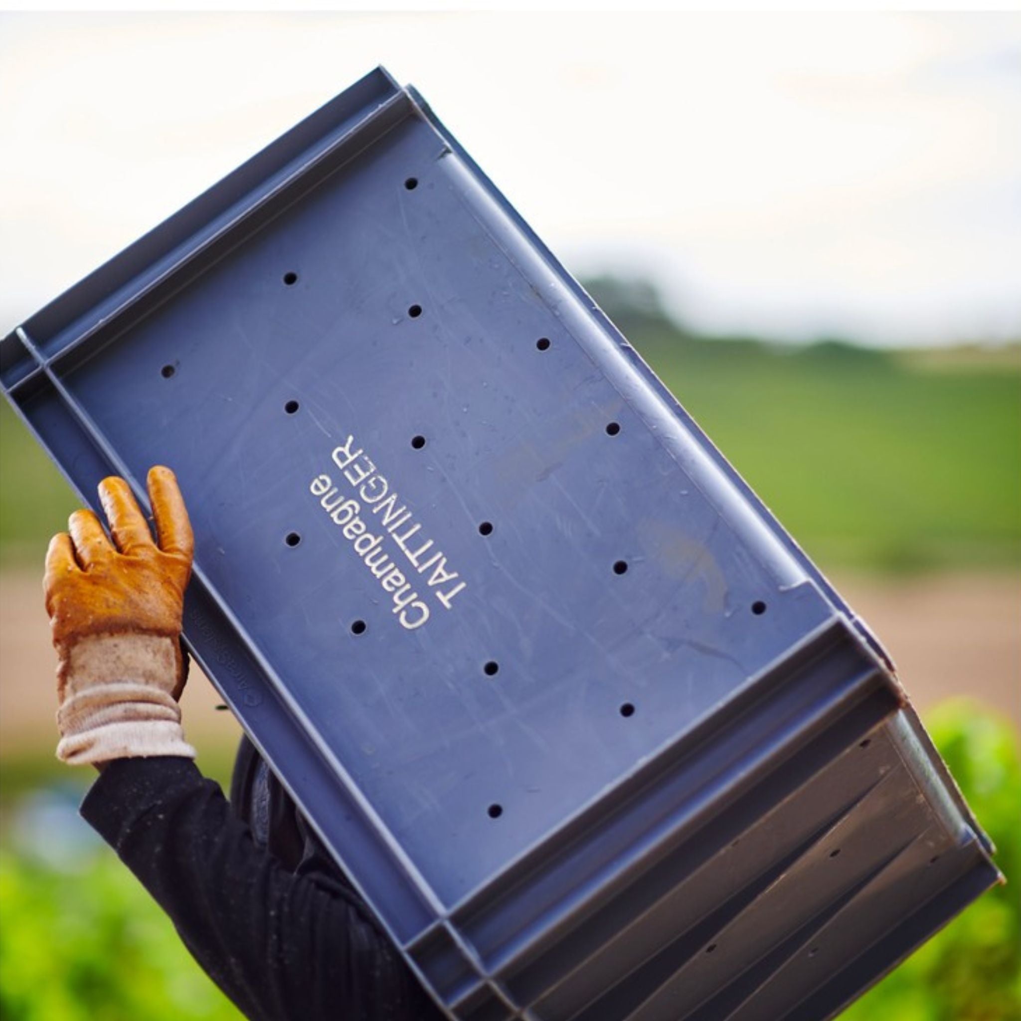 Taittinger Comtes de Champagne Blanc de Blancs 2014