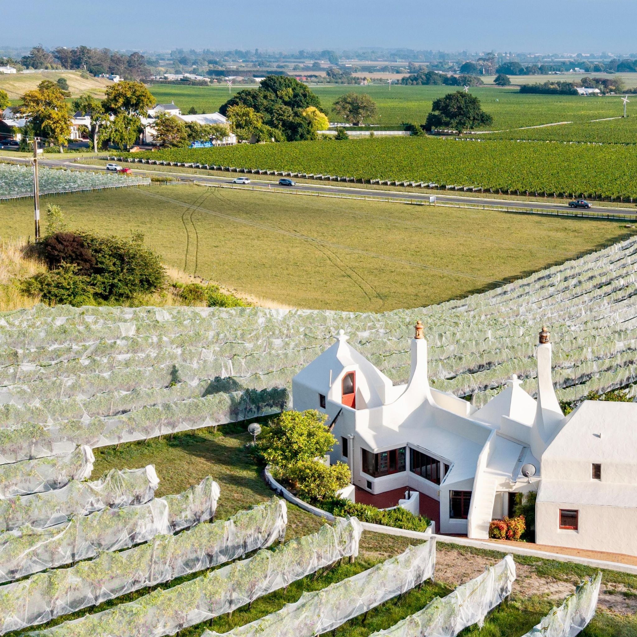 Te Mata