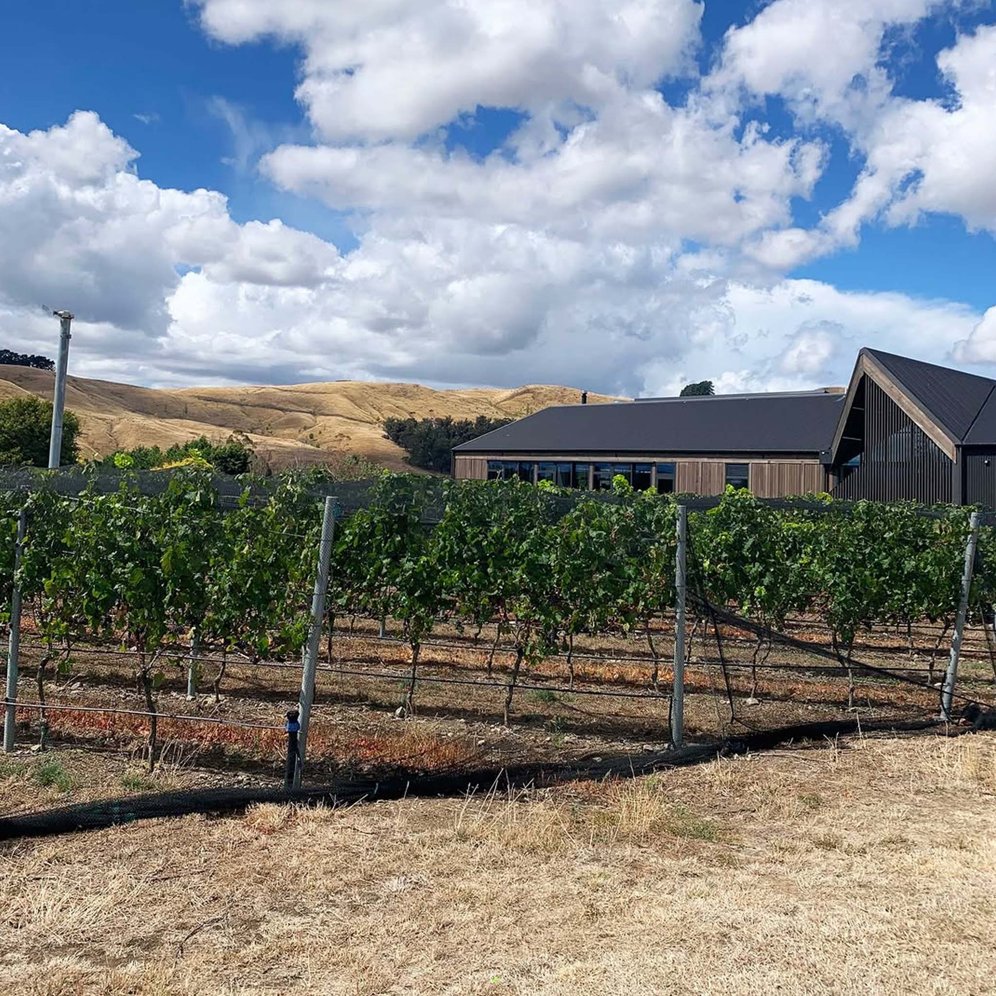 Te Kairanga Estate Pinot Noir 2024