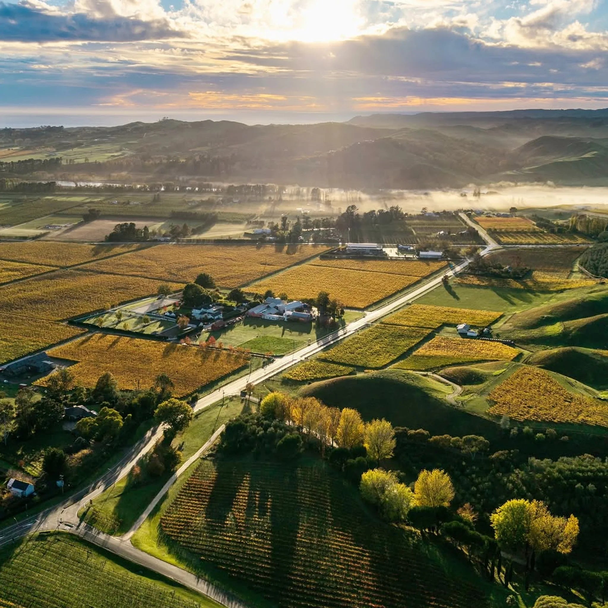 Te Mata Coleraine Cabernet Merlot 2024