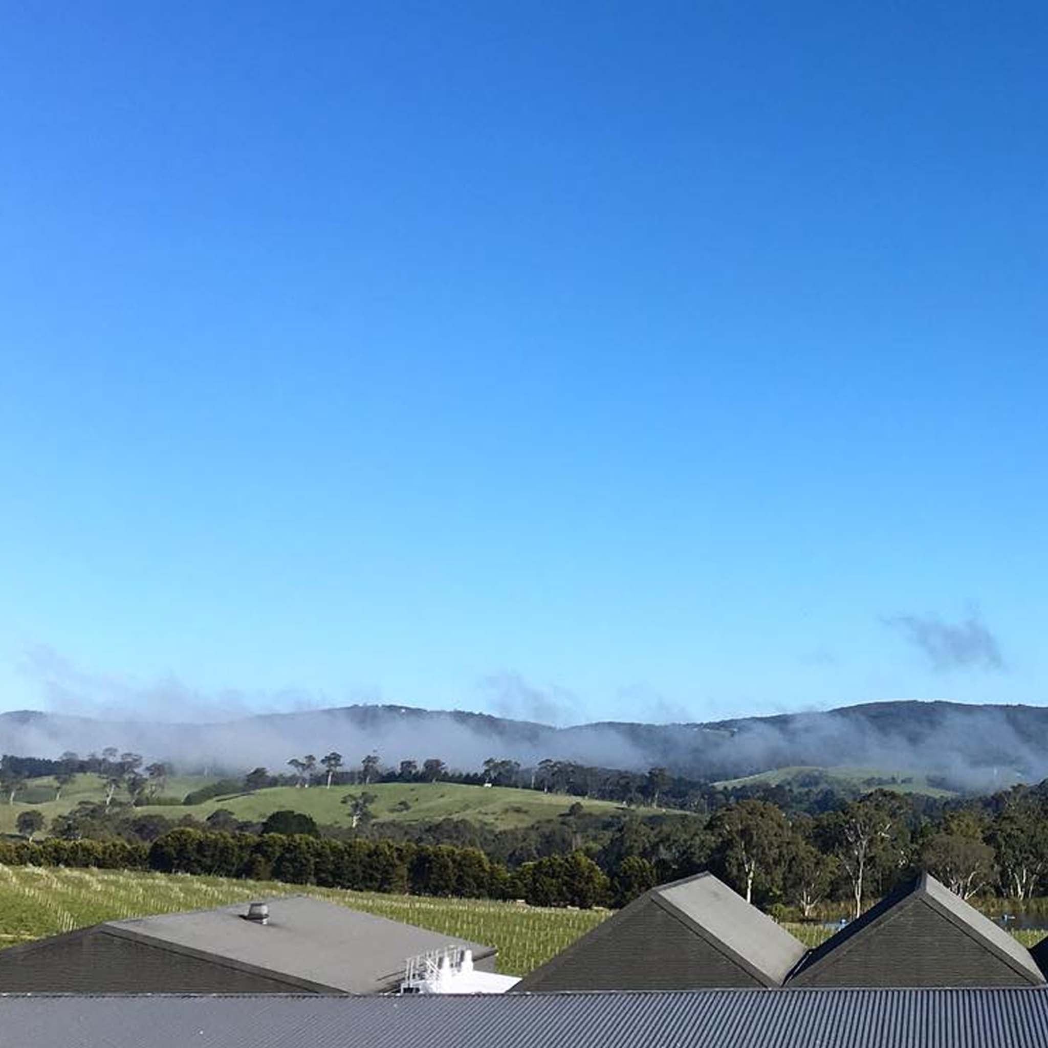 Philosophy | The Other Wine Co.