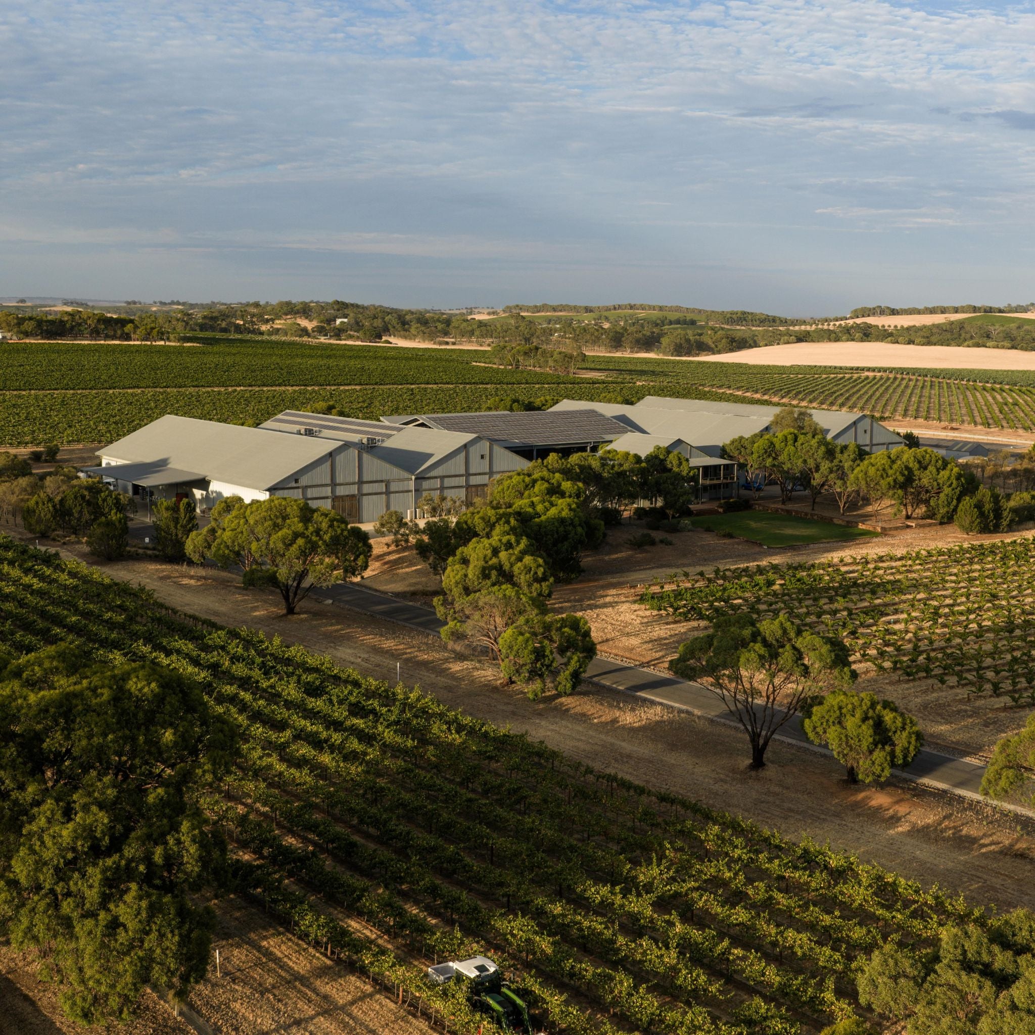 Torbreck Les Amis Grenache 2022