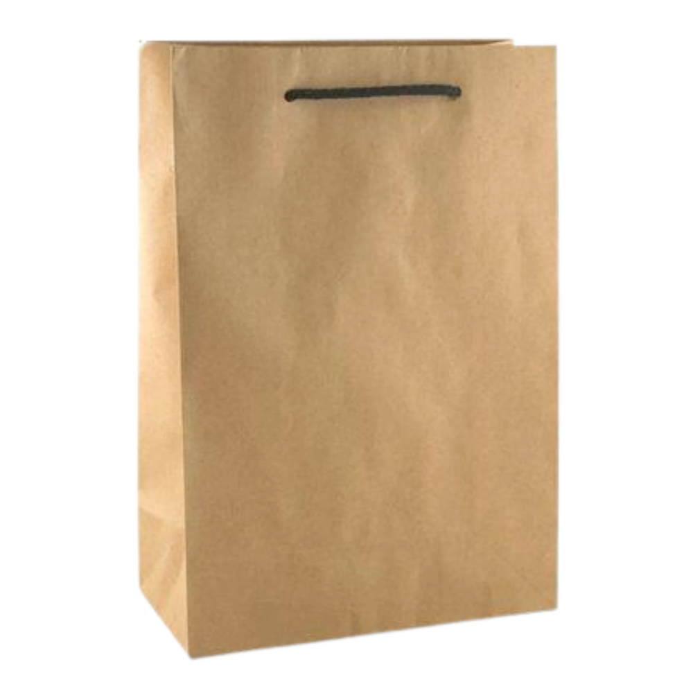 Triple Bottle Gift Bag - Kraft - Kent Street Cellars