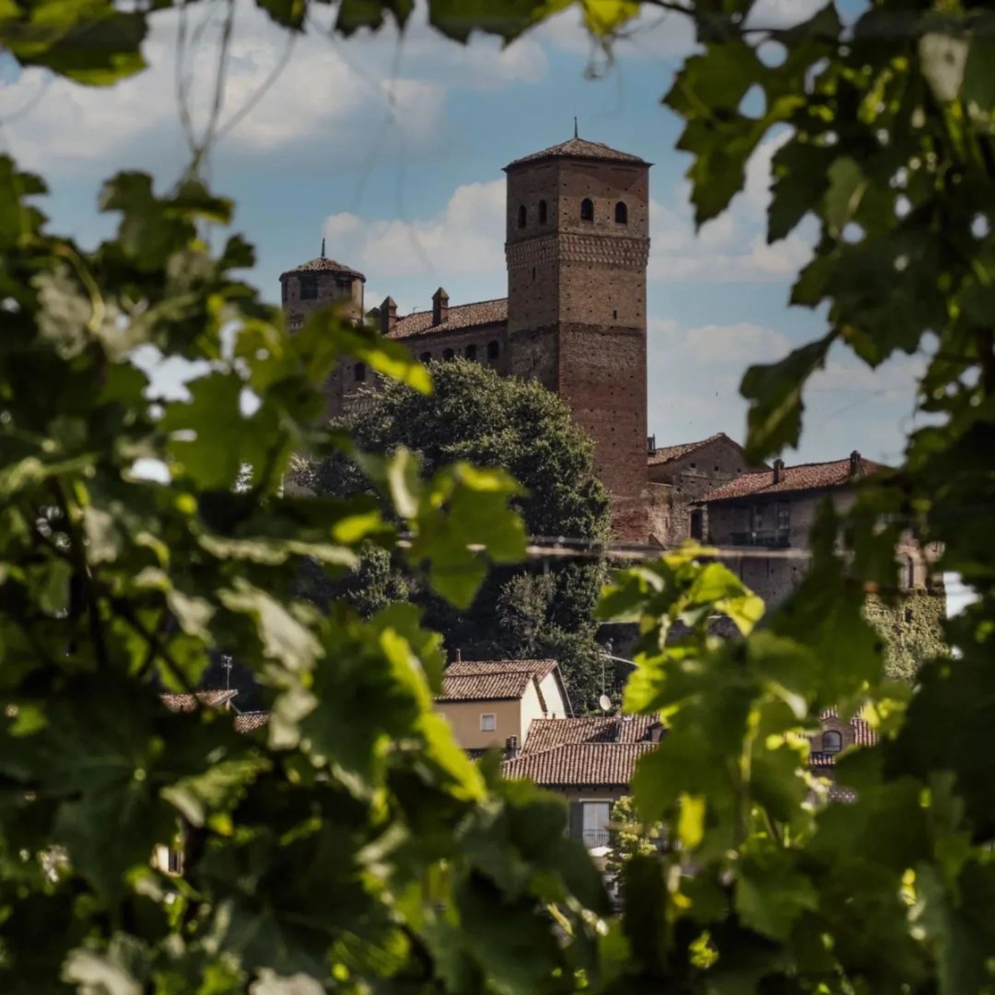 Vietti