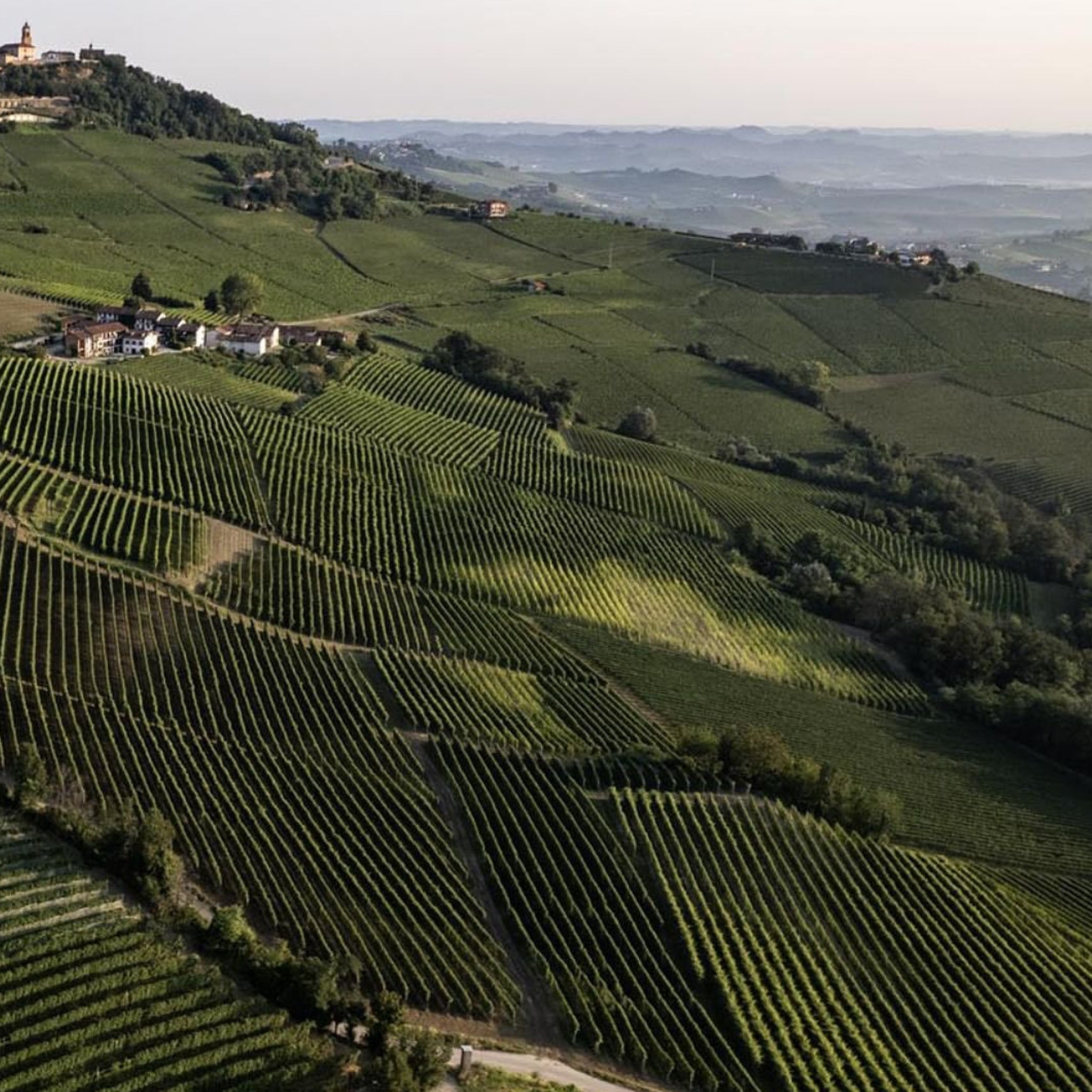 Vietti Barolo 2021