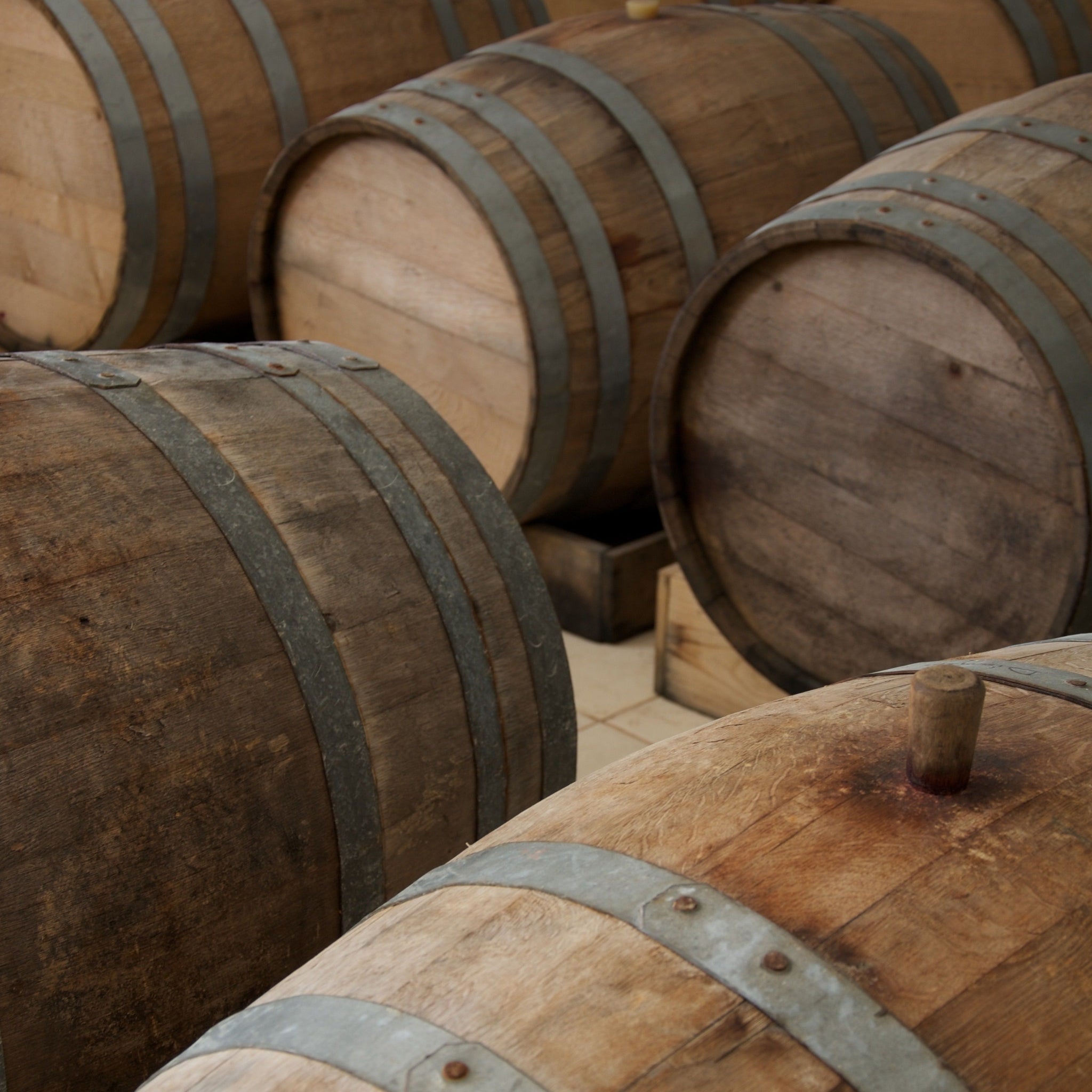 Domaine Michel Gros Bourgogne Hautes Cotes De Nuits 2023