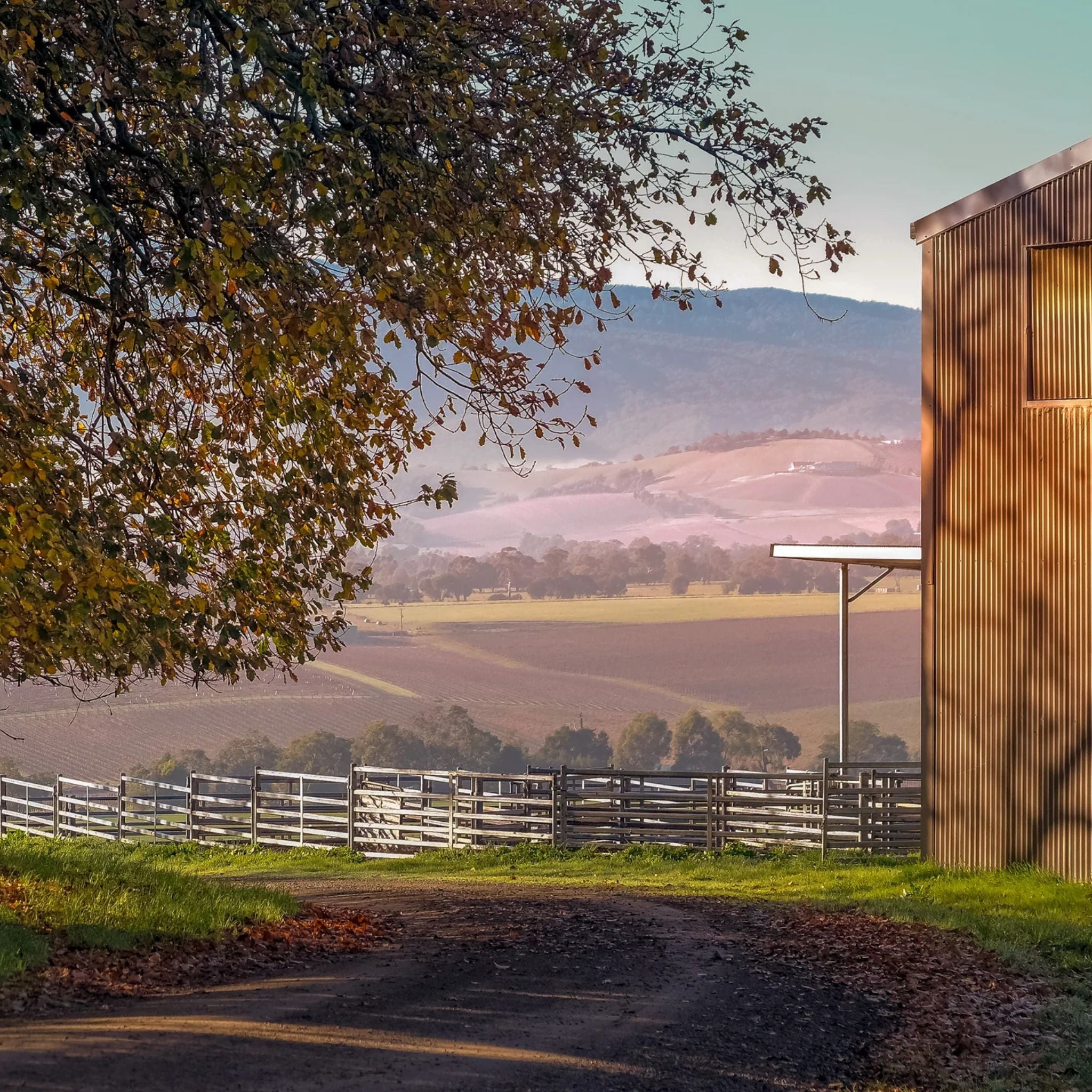 Yeringberg Shiraz 2023