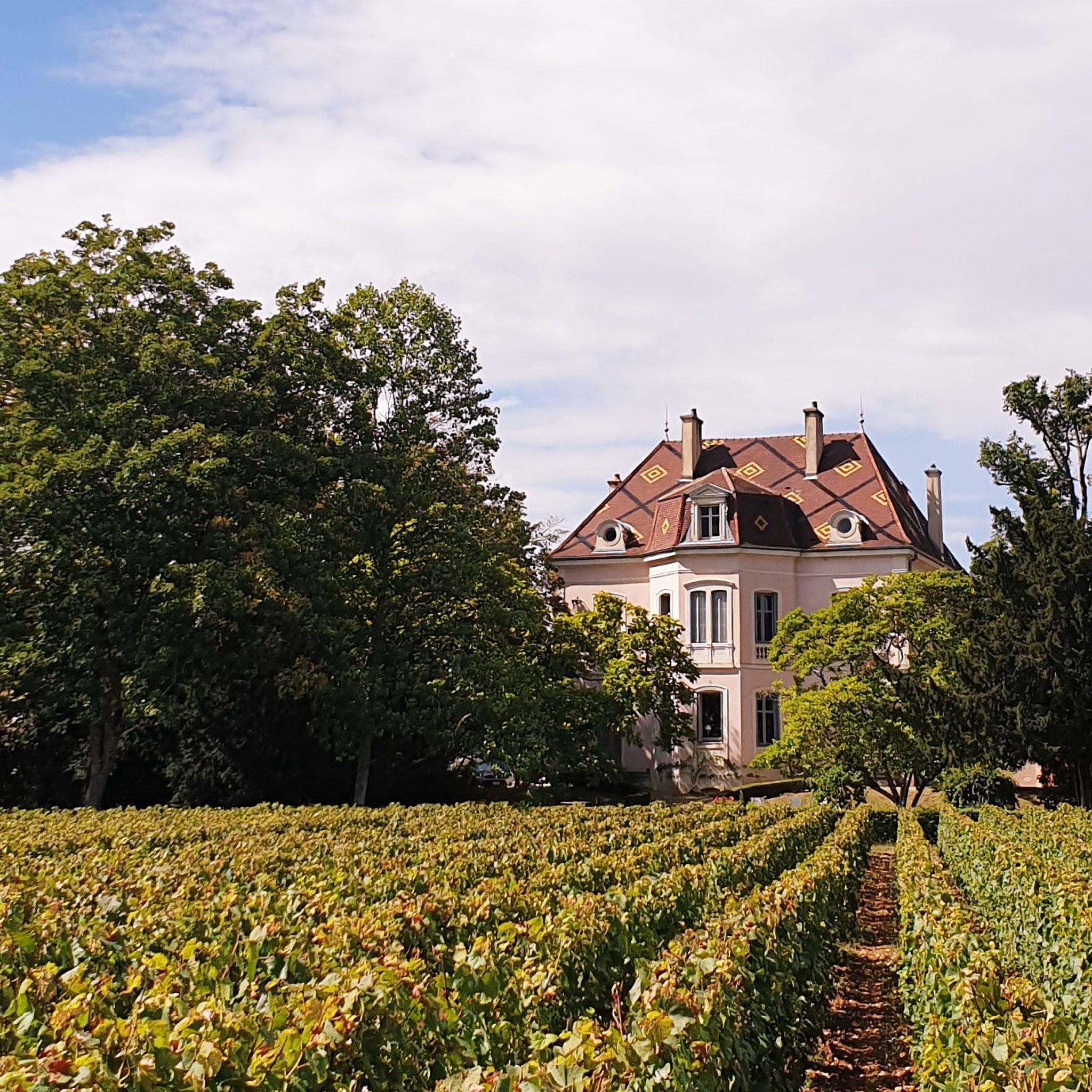 Domaine Des Comtes Lafon