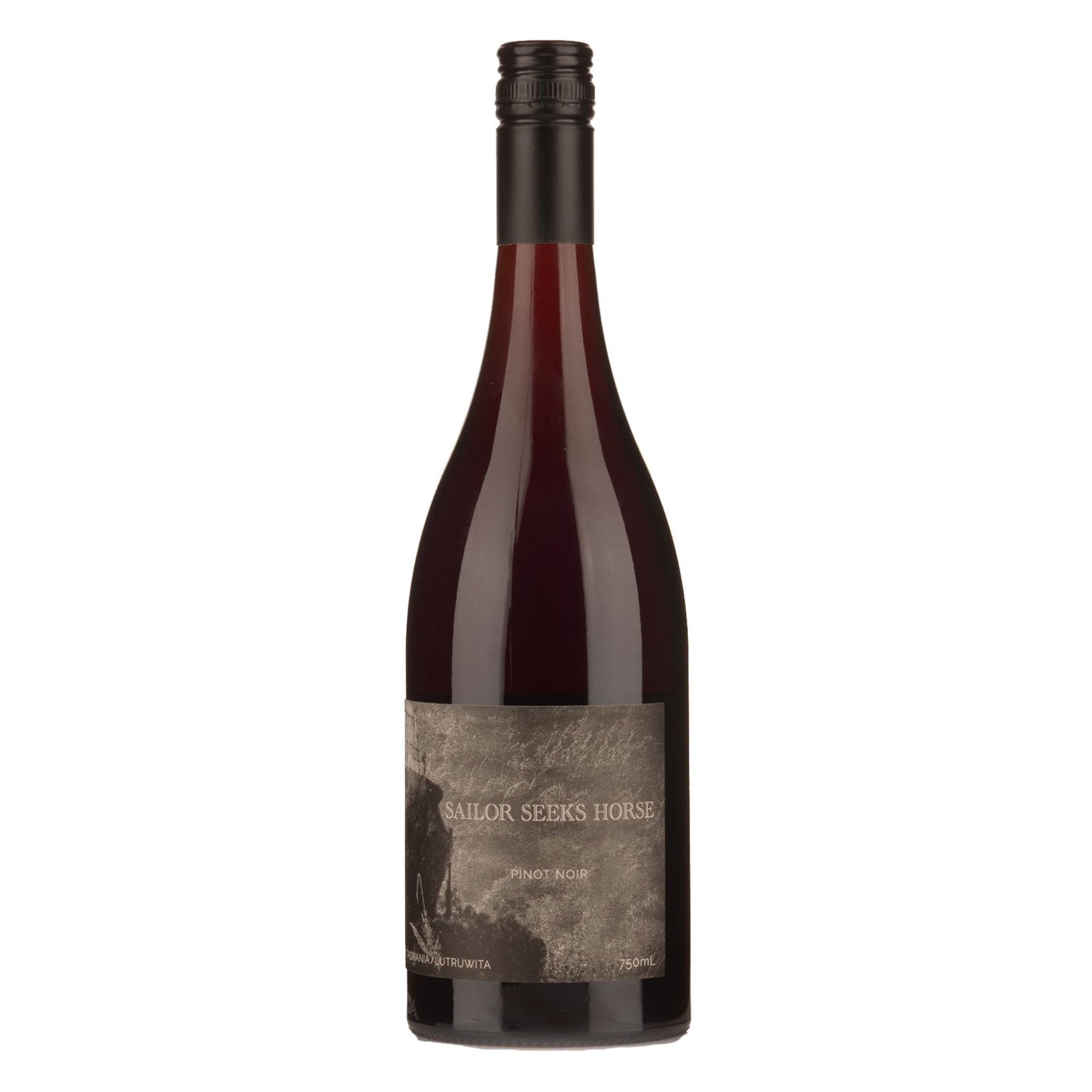 Sailor Seeks Horse Pinot Noir 2024