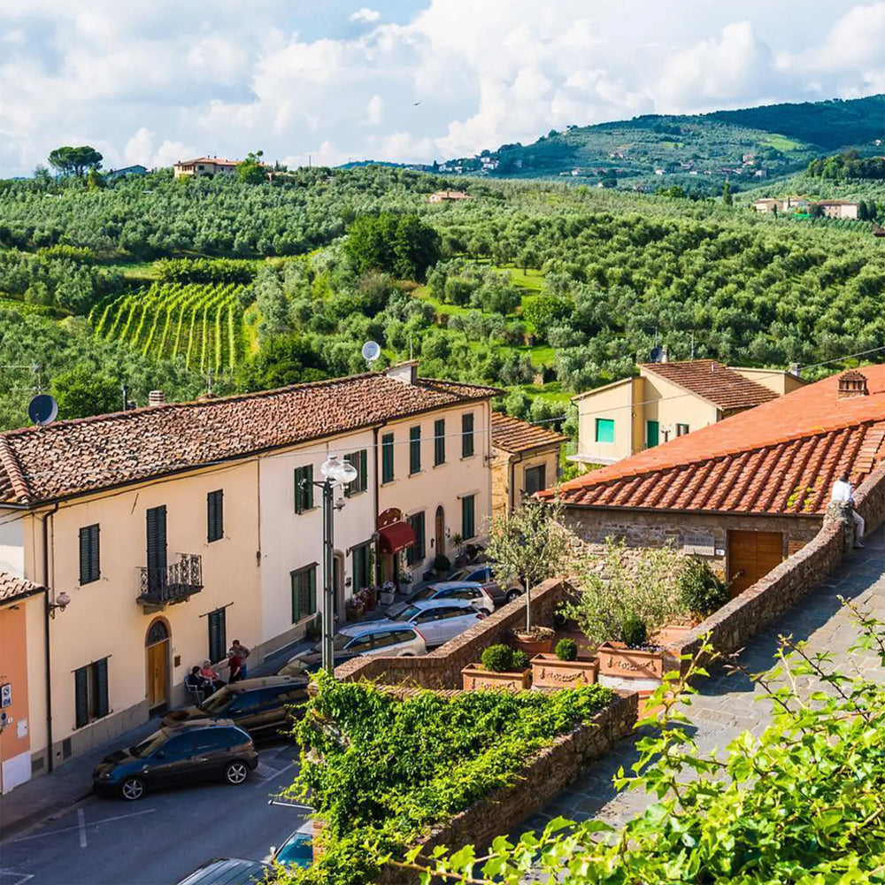 Babo Langhe Nebbiolo 2021