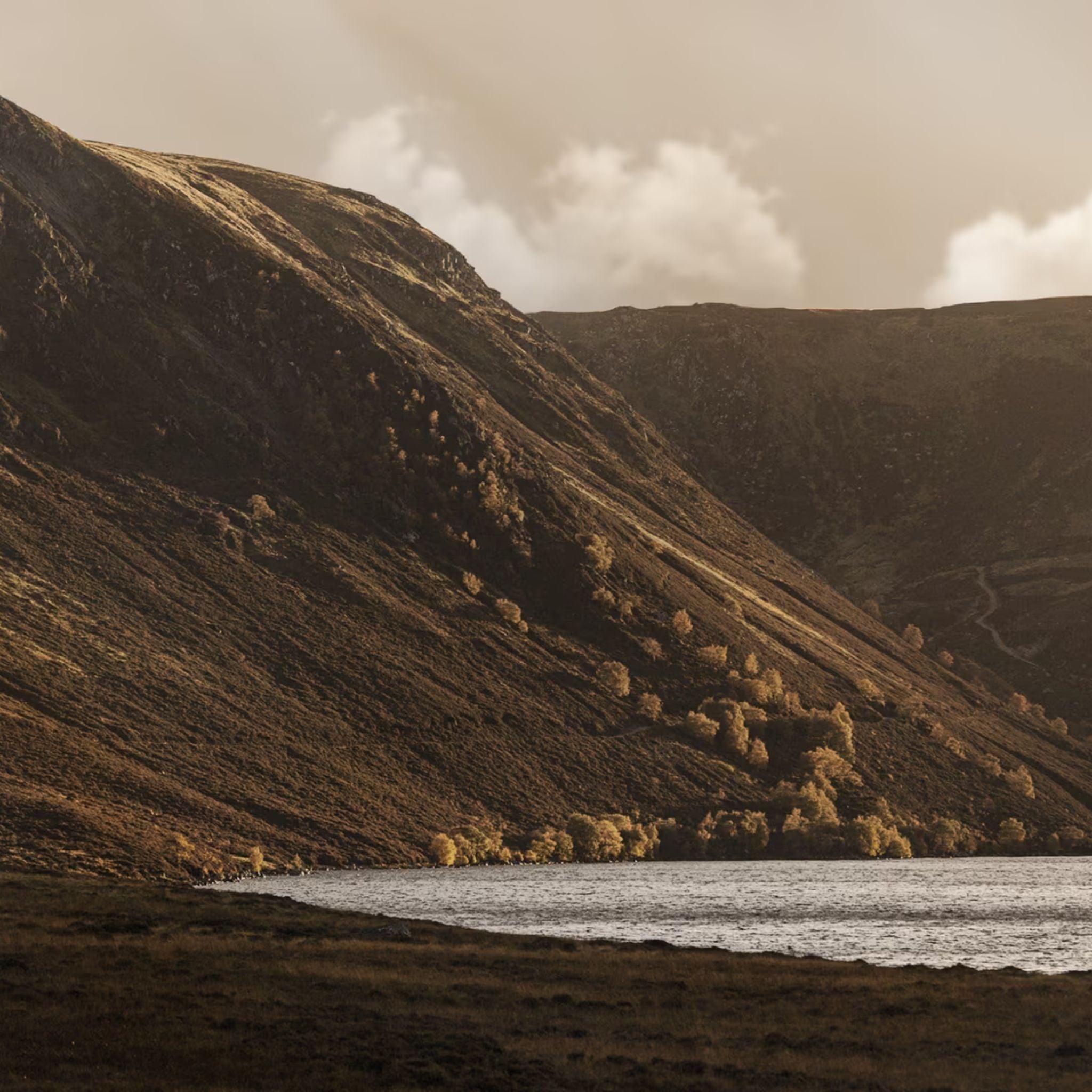 Balvenie A Collection of Curious Casks 14 Year Old Bourbon Barrel Malt Scotch Whisky 700ml