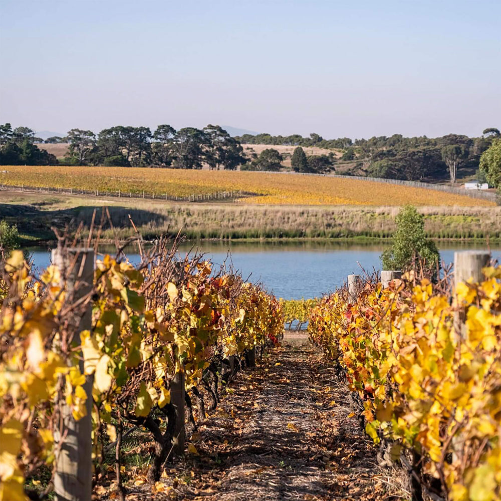 Bannockburn S.R.H. Chardonnay 2022 - Kent Street Cellars