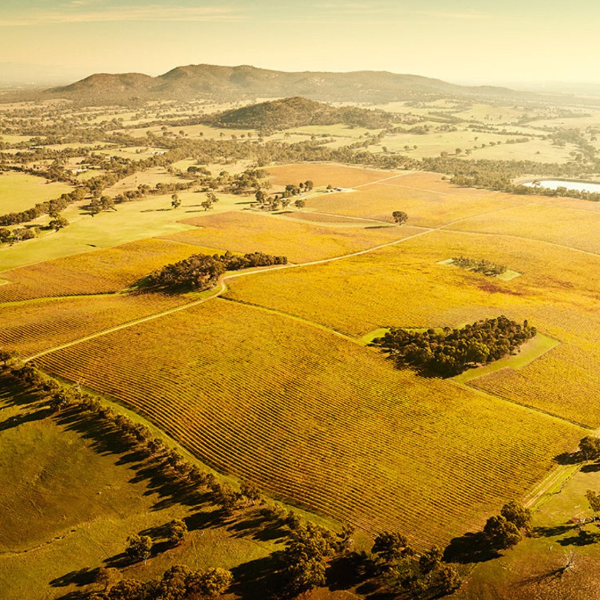 Best’s Great Western Bin No. 1 Shiraz 2021
