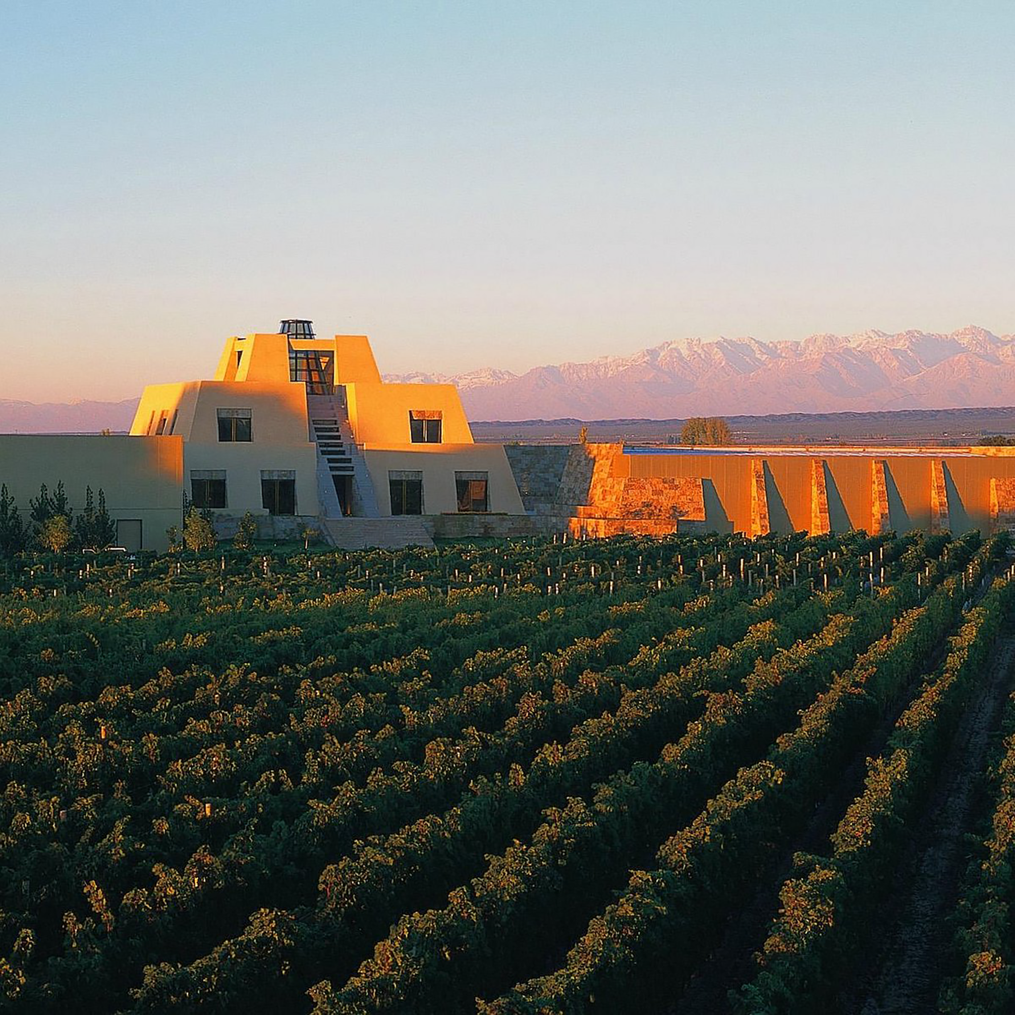 Catena Zapata Adrianna Vineyard White Stones Chardonnay 2021