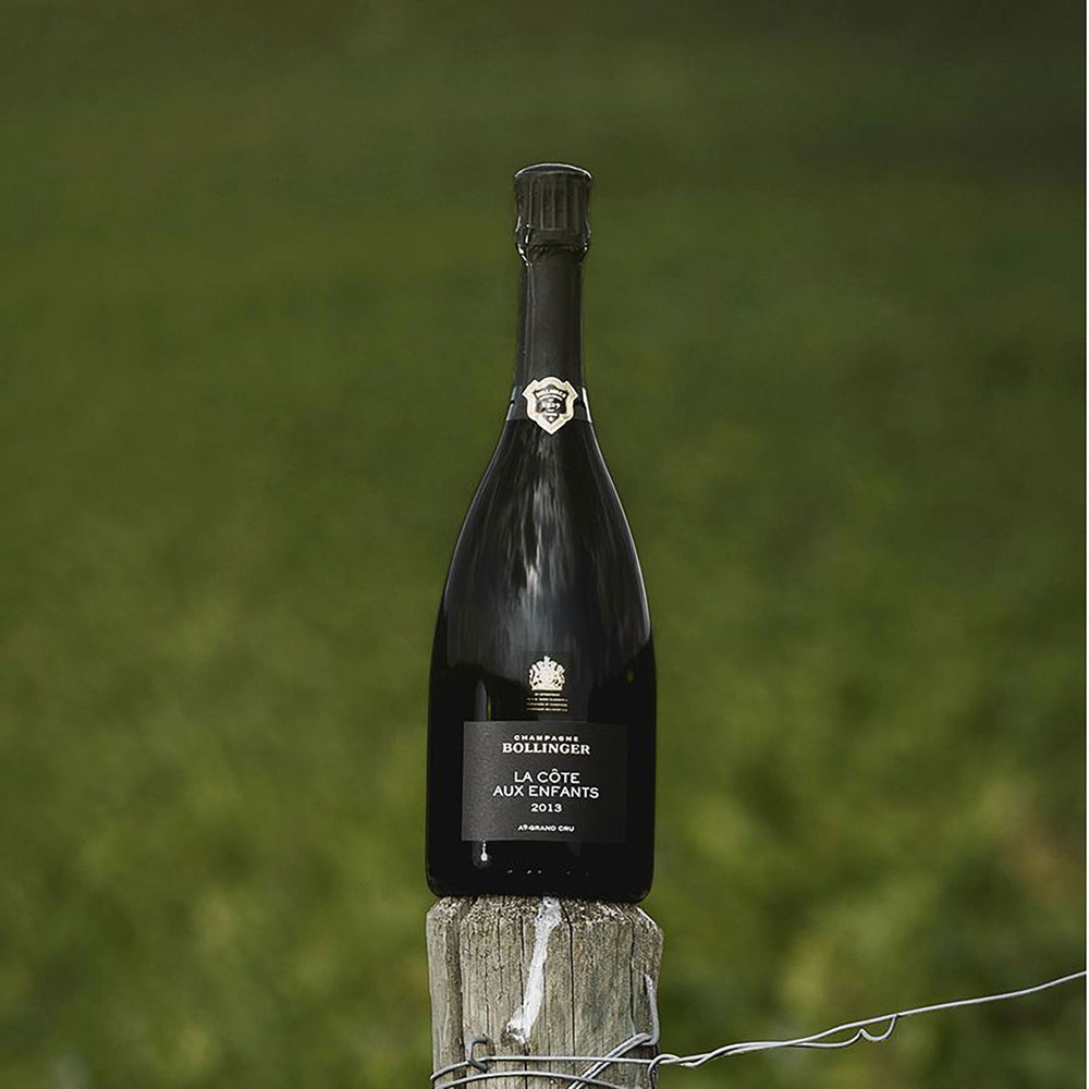 Bollinger La Côte aux Enfants Champagne 2013