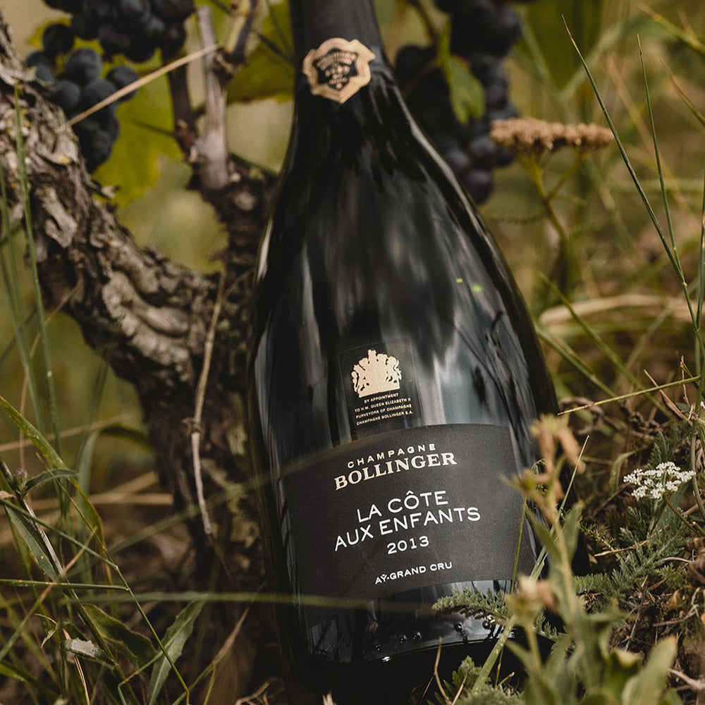 Bollinger La Côte aux Enfants Champagne 2013