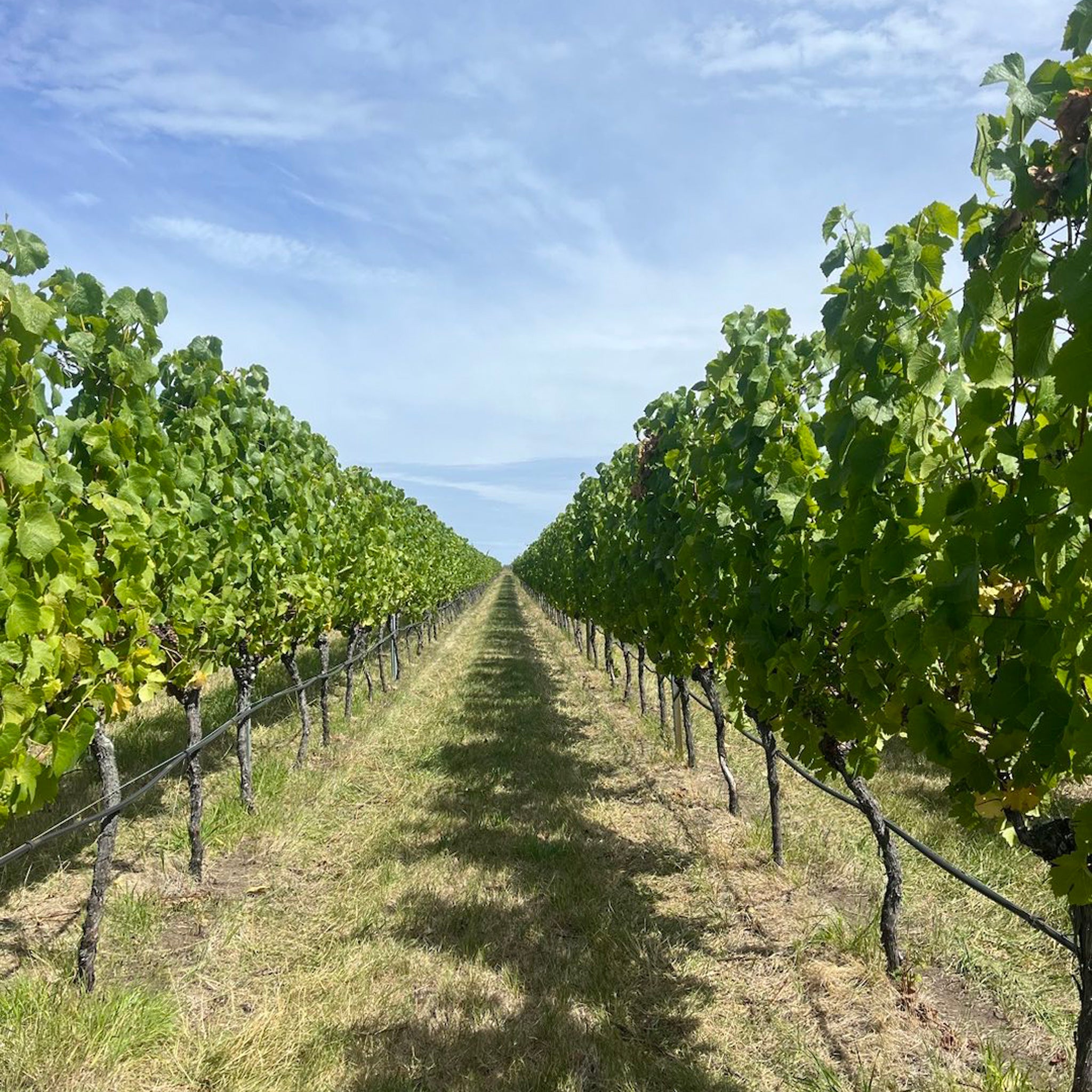 Philosophy | Bubb + Pooley