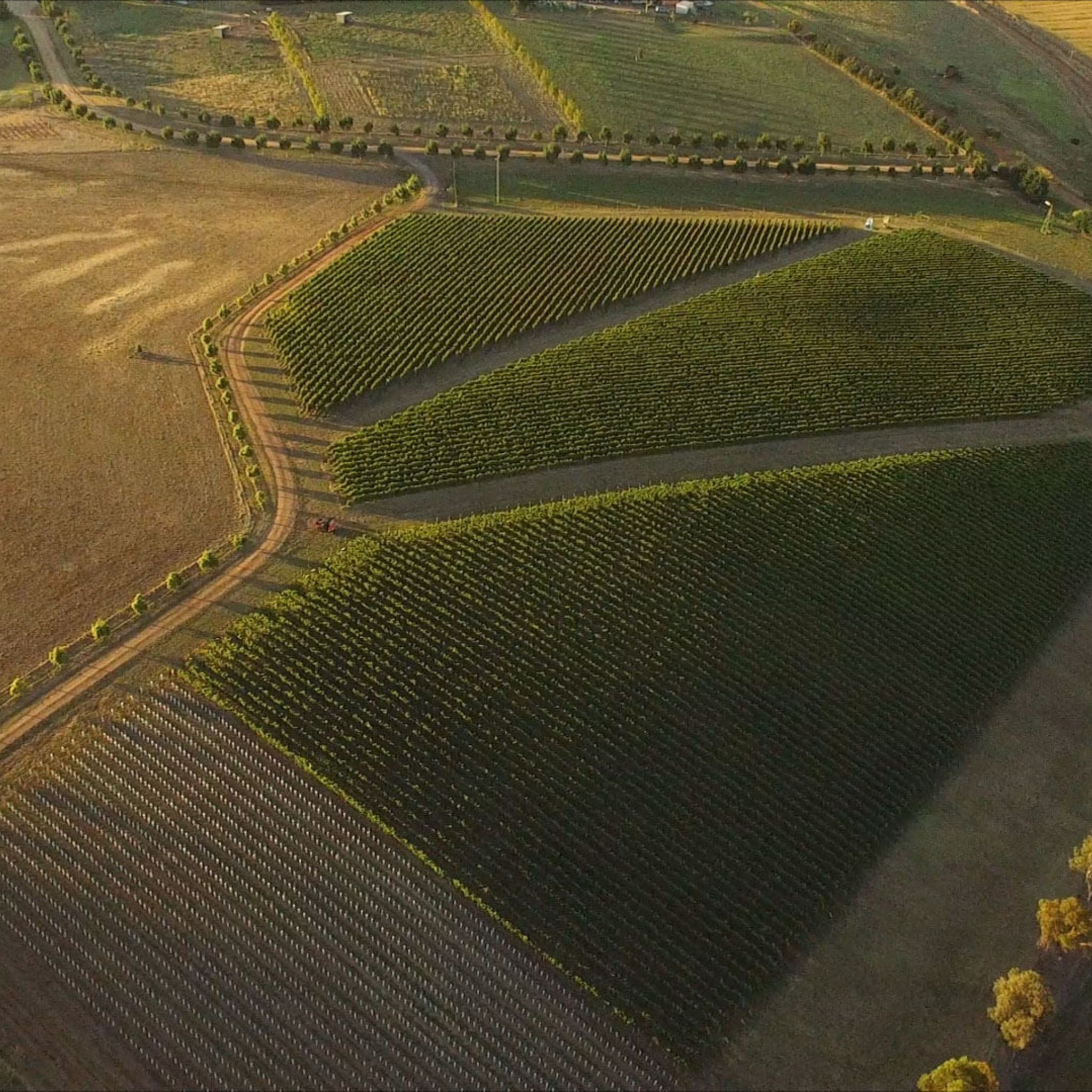 By Farr Farrside Pinot Noir 2022