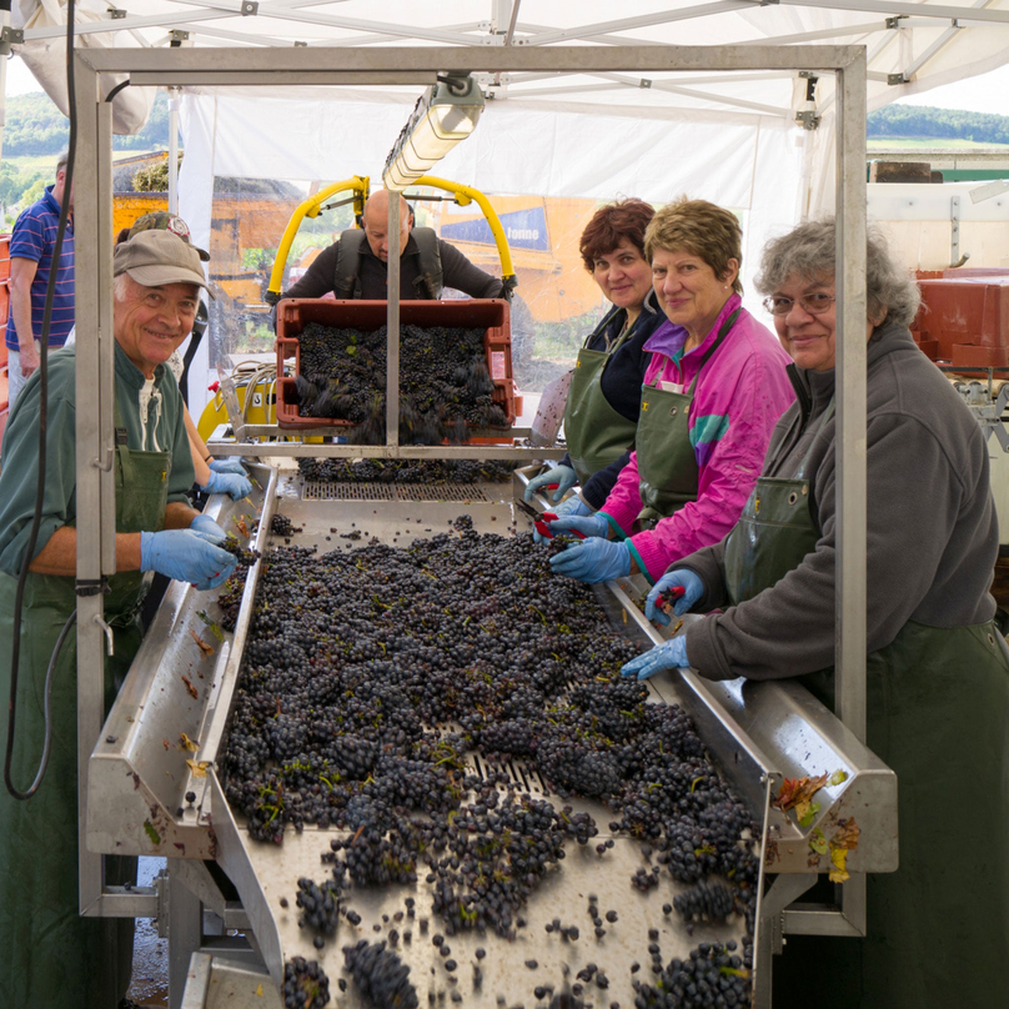 Domaine Fourrier Cote de Nuits Clos de lá Belle Marguerite 2022 1.5L