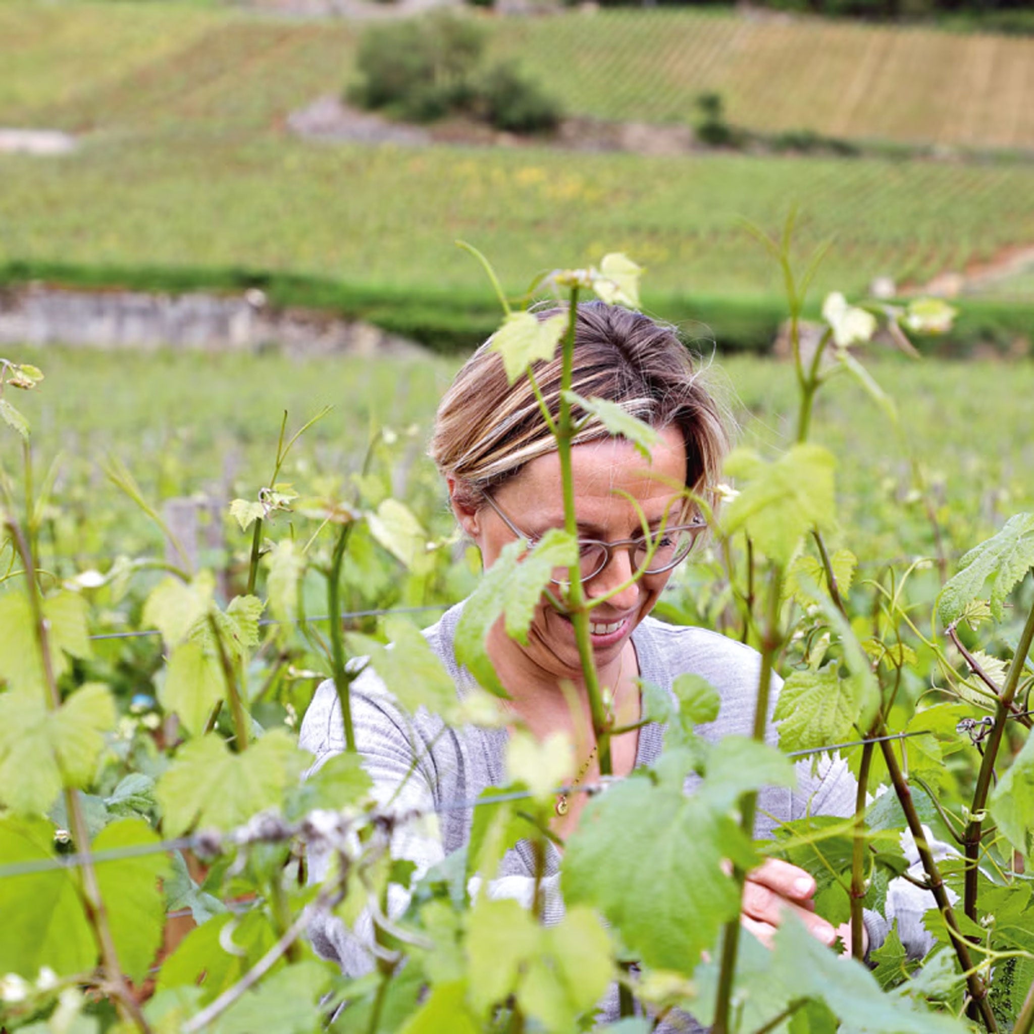 Caroline Morey Beaune 1er Cru Greves Blanc 2021