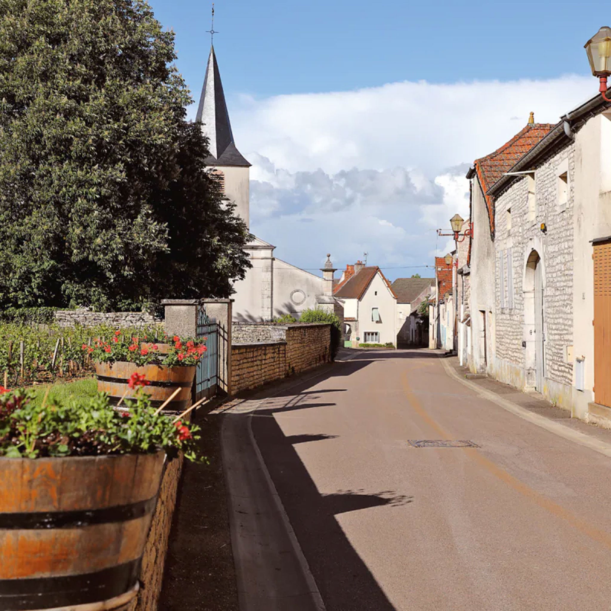 Caroline Morey Beaune Chassagne Montrachet Blanc Chambrees 2021