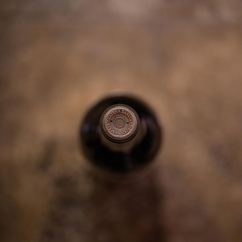 Bodega Catena Zapata Adrianna Vineyard Fortuna Terrae Malbec 2019 - Kent Street Cellars