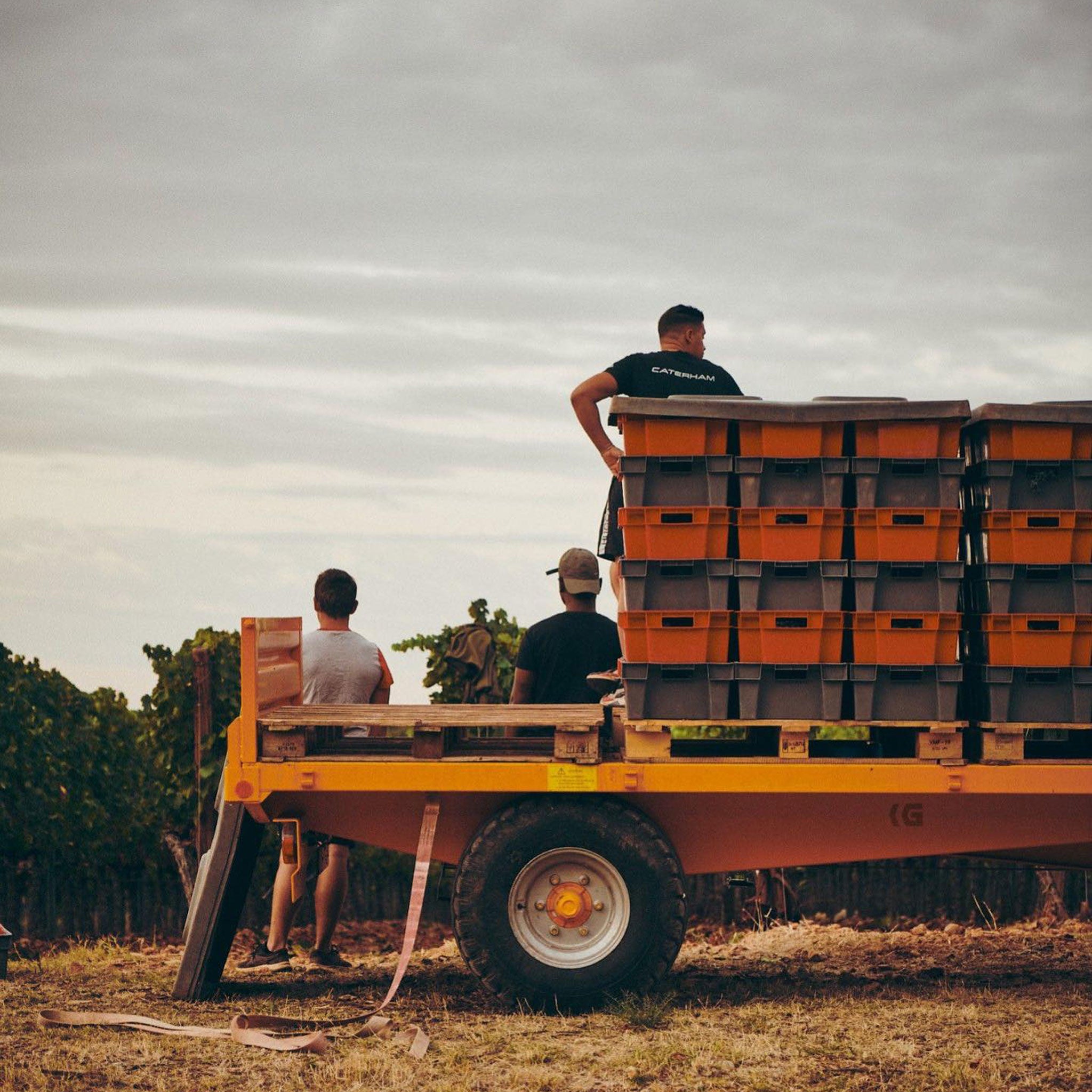 Château d'Esclans Rock Angel 2023