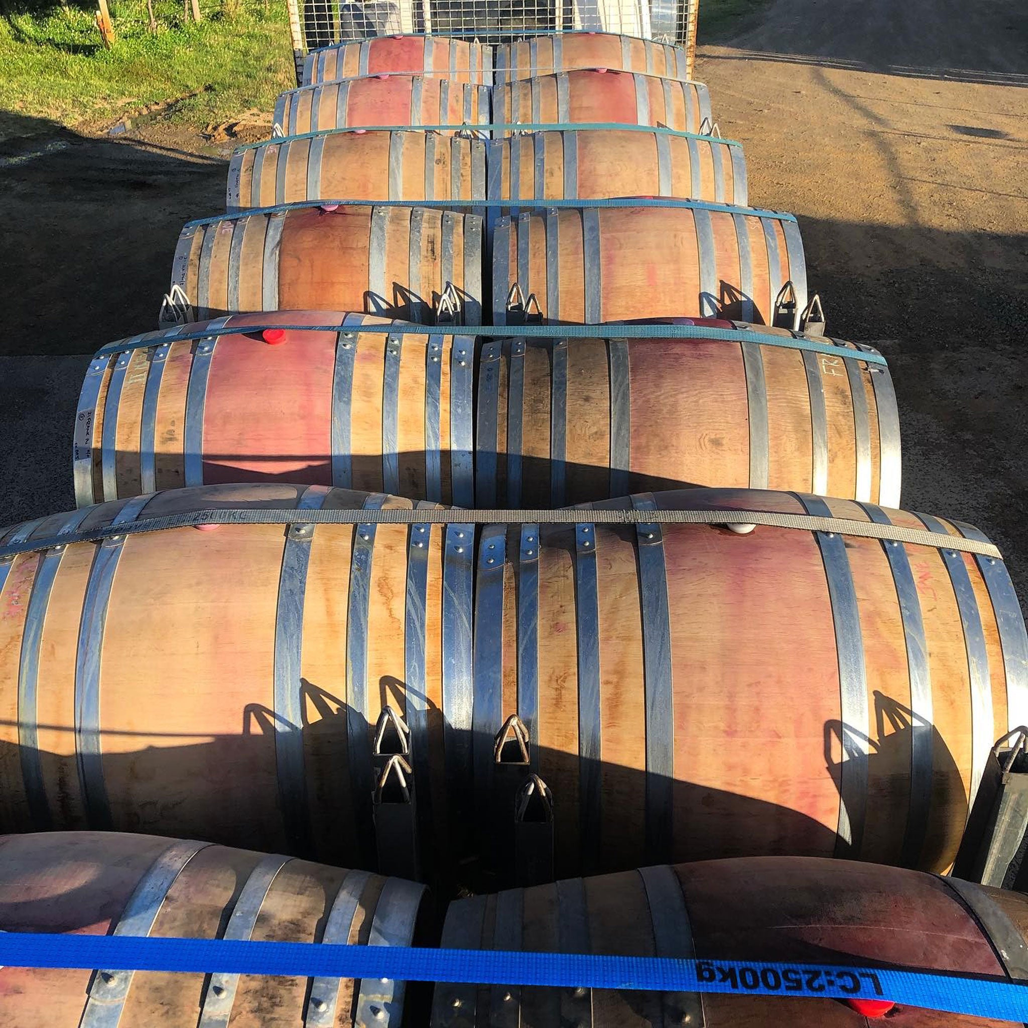 Chatto Franklinii Pinot Noir 2023