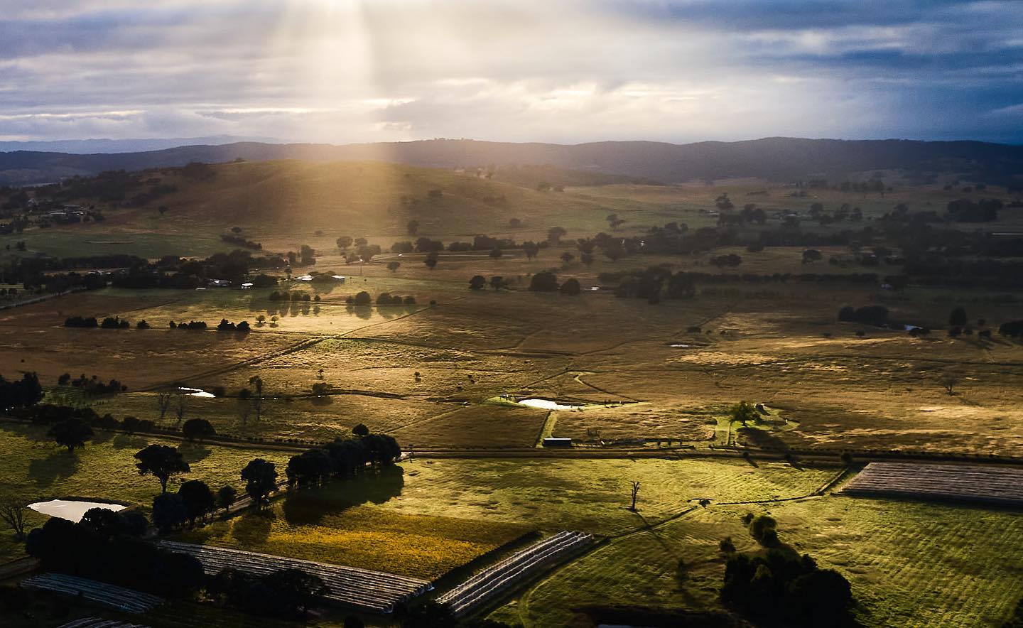 The Vineyard | Clonakilla 2023