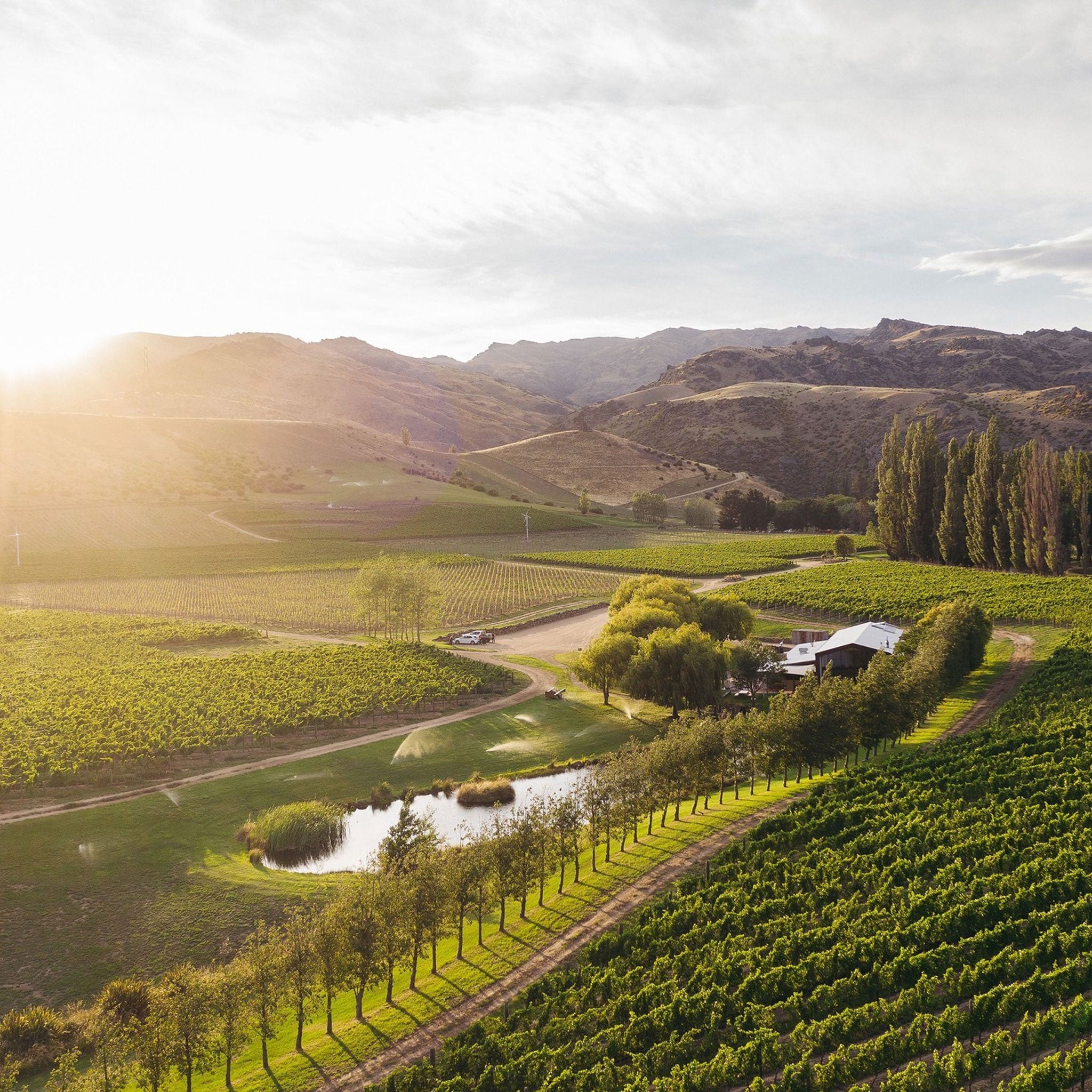 Cloudy Bay Pinot Noir 2022