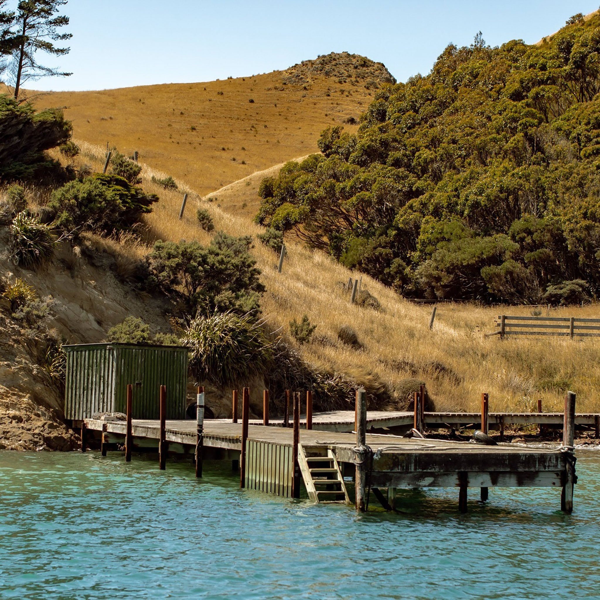 Cloudy Bay Sauvignon Blanc 2024